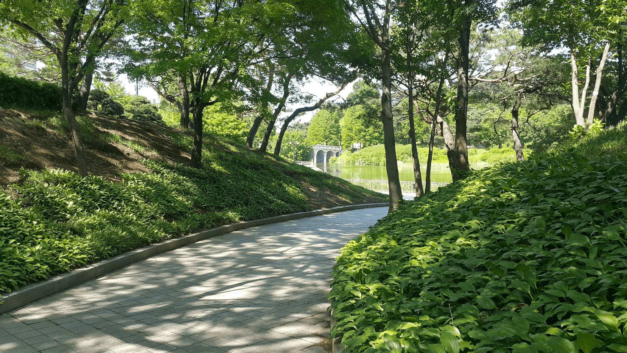 Beautiful urban park with greenery promoting sustainable prefabricated home designs