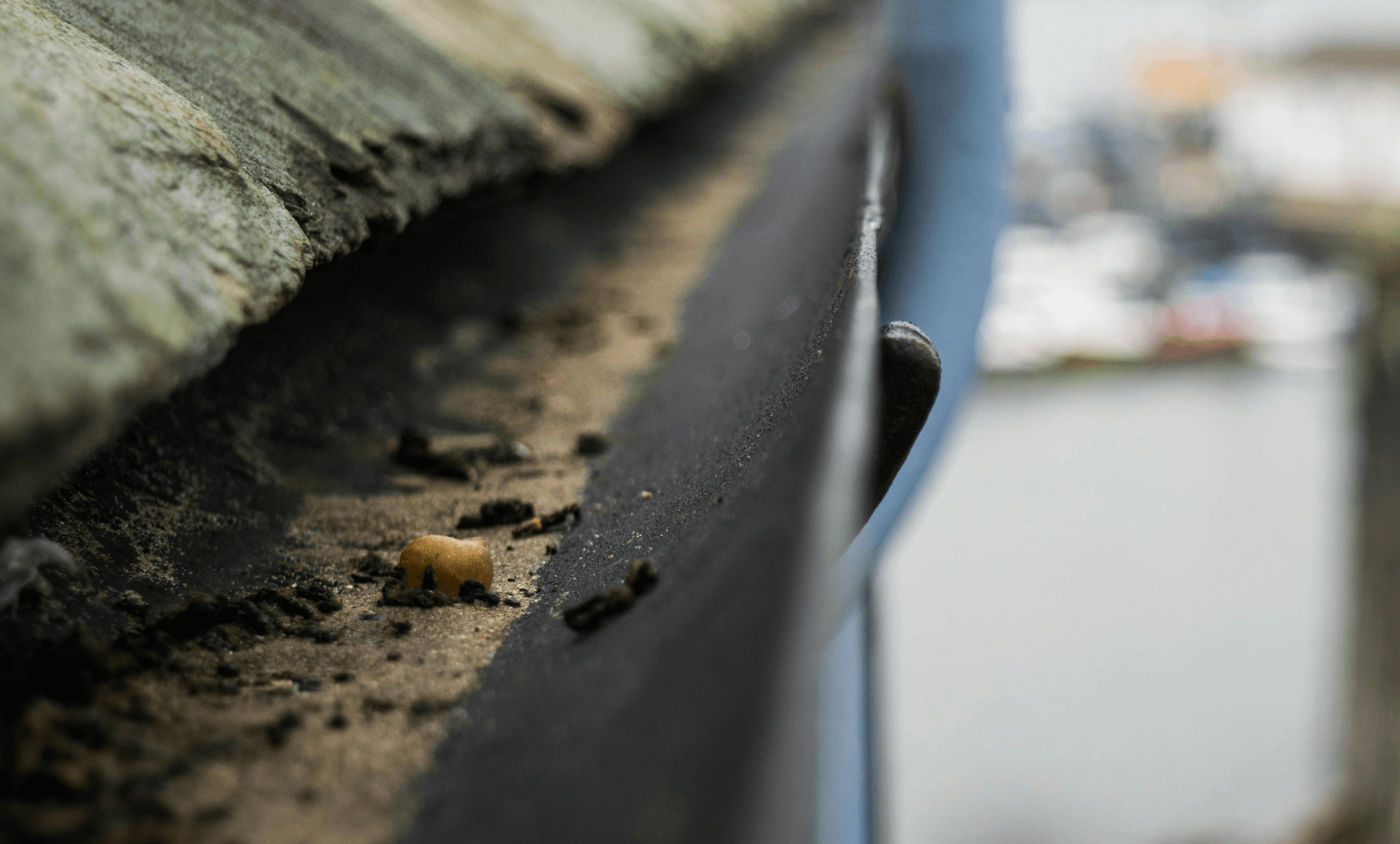 Dirt and debris buildup inside a residential gutter - professional gutter maintenance and cleaning services.