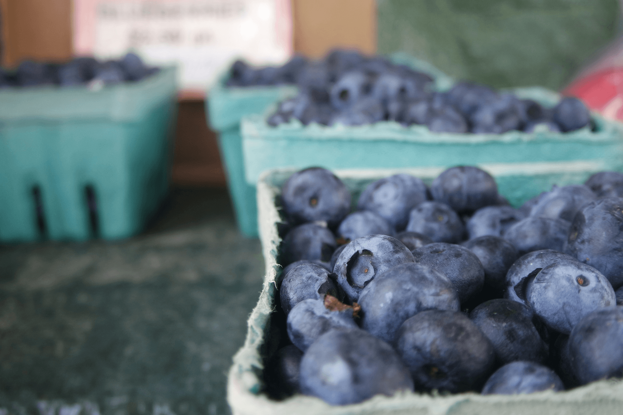 Explore our range of premium quality freeze dried blueberry options.