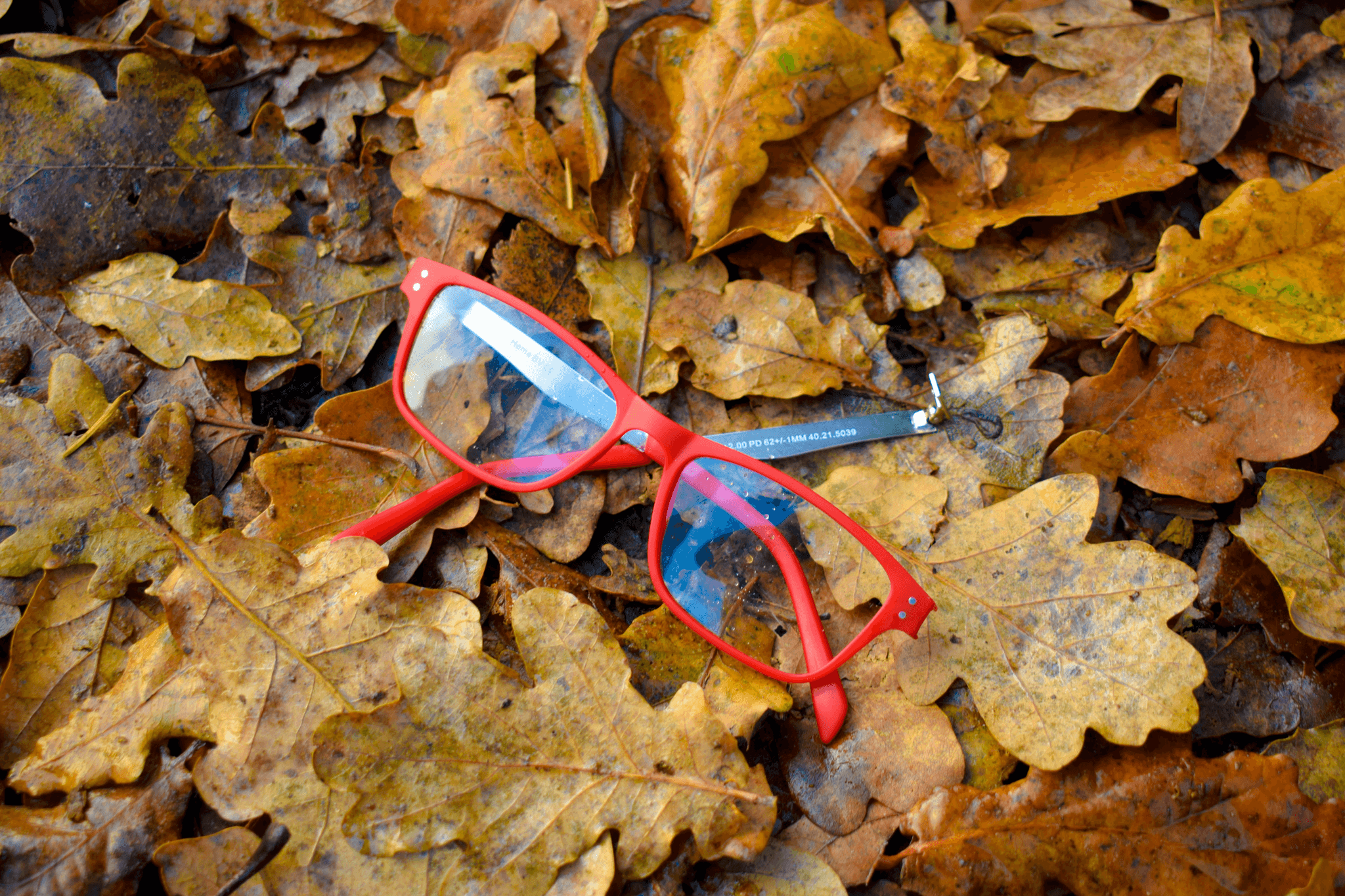 tr90 vs ultem comparison showing trendy eyeglasses made from flexible material.