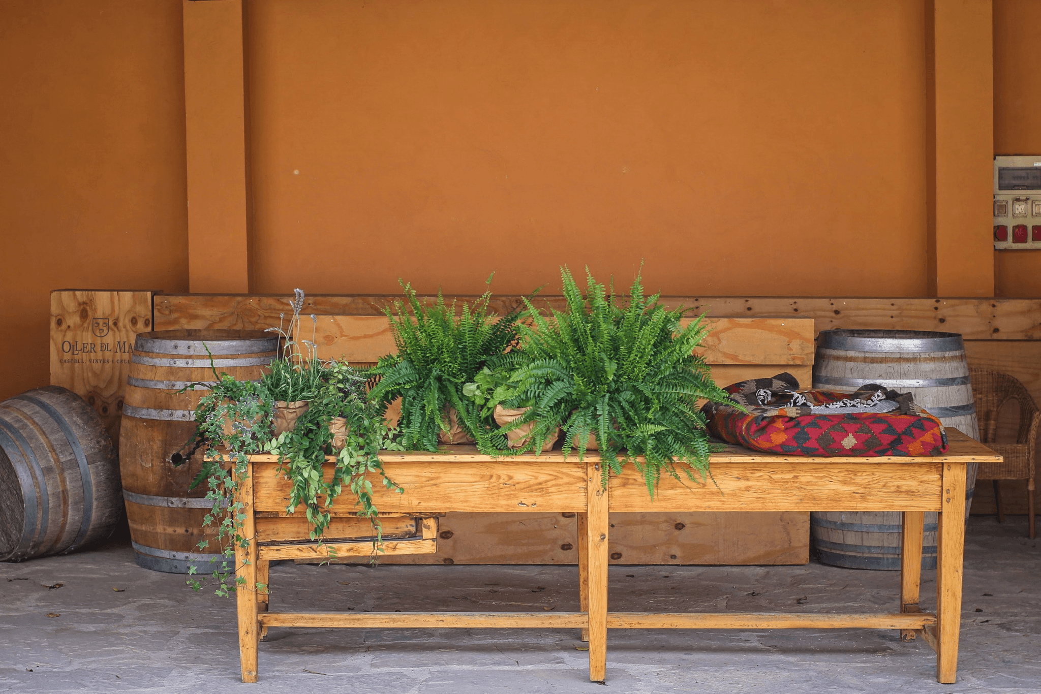 ground level deck ideas showcasing multifunctional furniture and vertical gardens