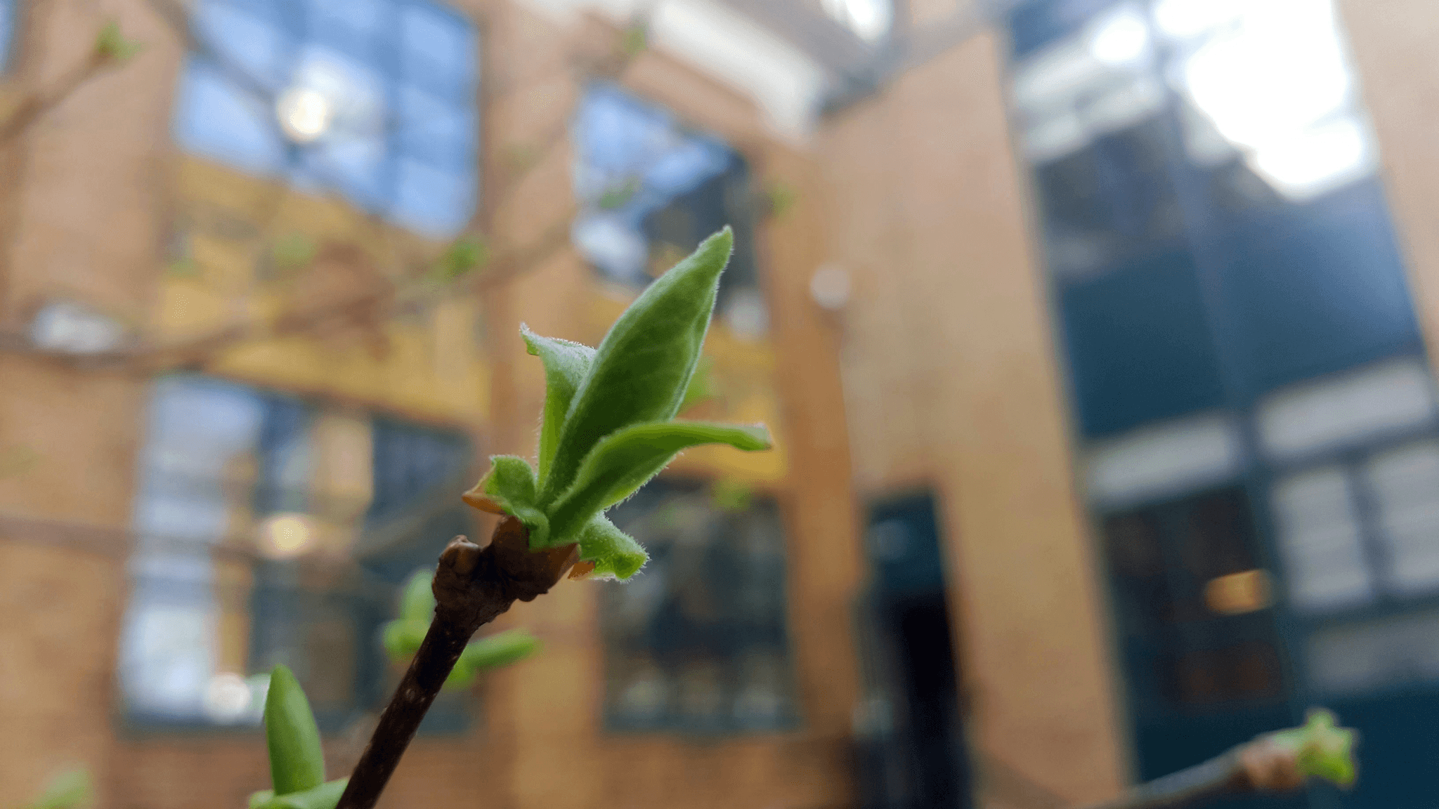 Illustration of sustainable growth in business through sourcing consulting