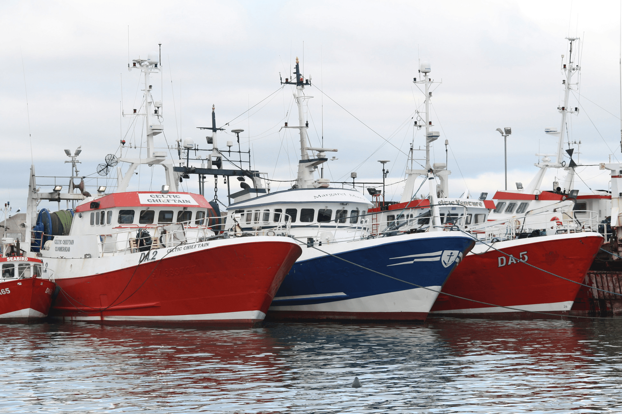 cost of a fishing boat comparison between new and used options