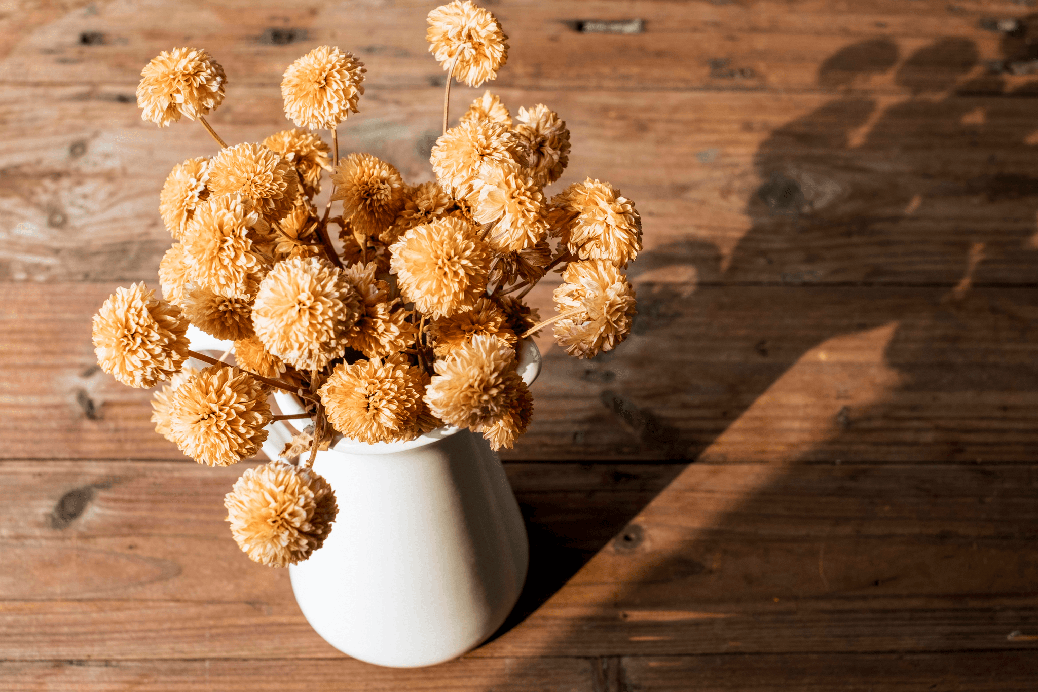 Dried Craspedia Billy Balls in Rustic Vase