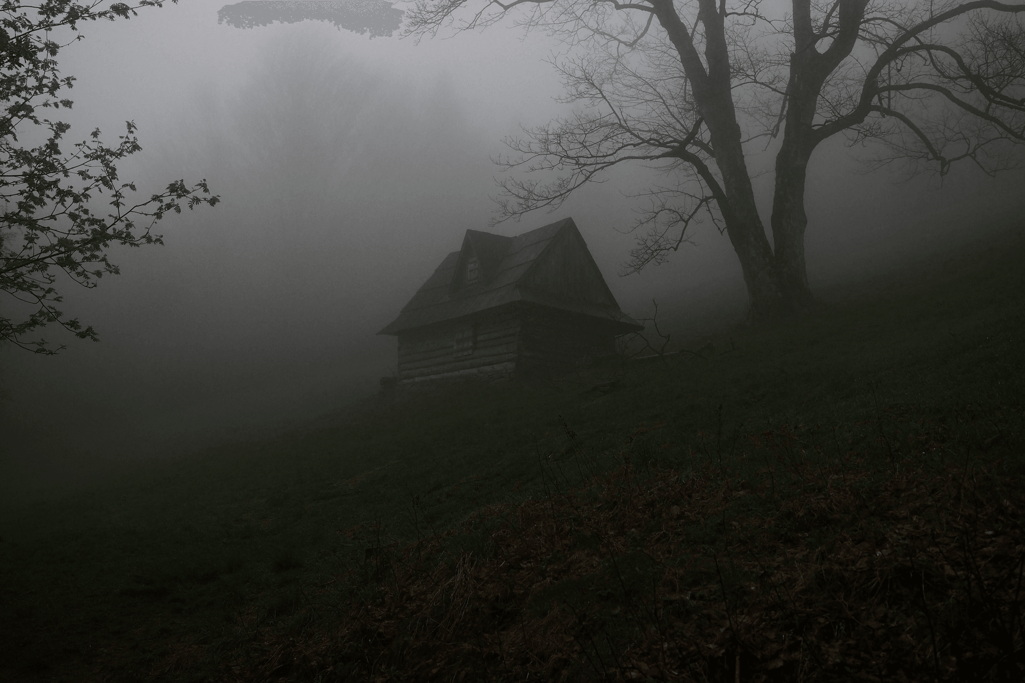 Apple Cabin Haunted House exterior with spooky fog