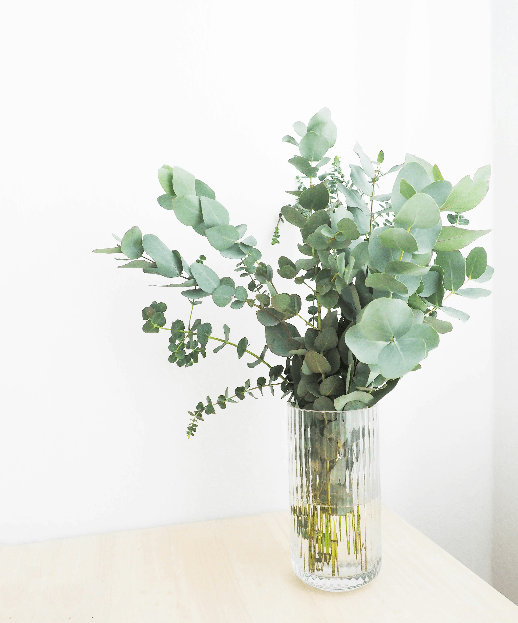 Seeded Eucalyptus Wholesale Bouquet on Wooden Table