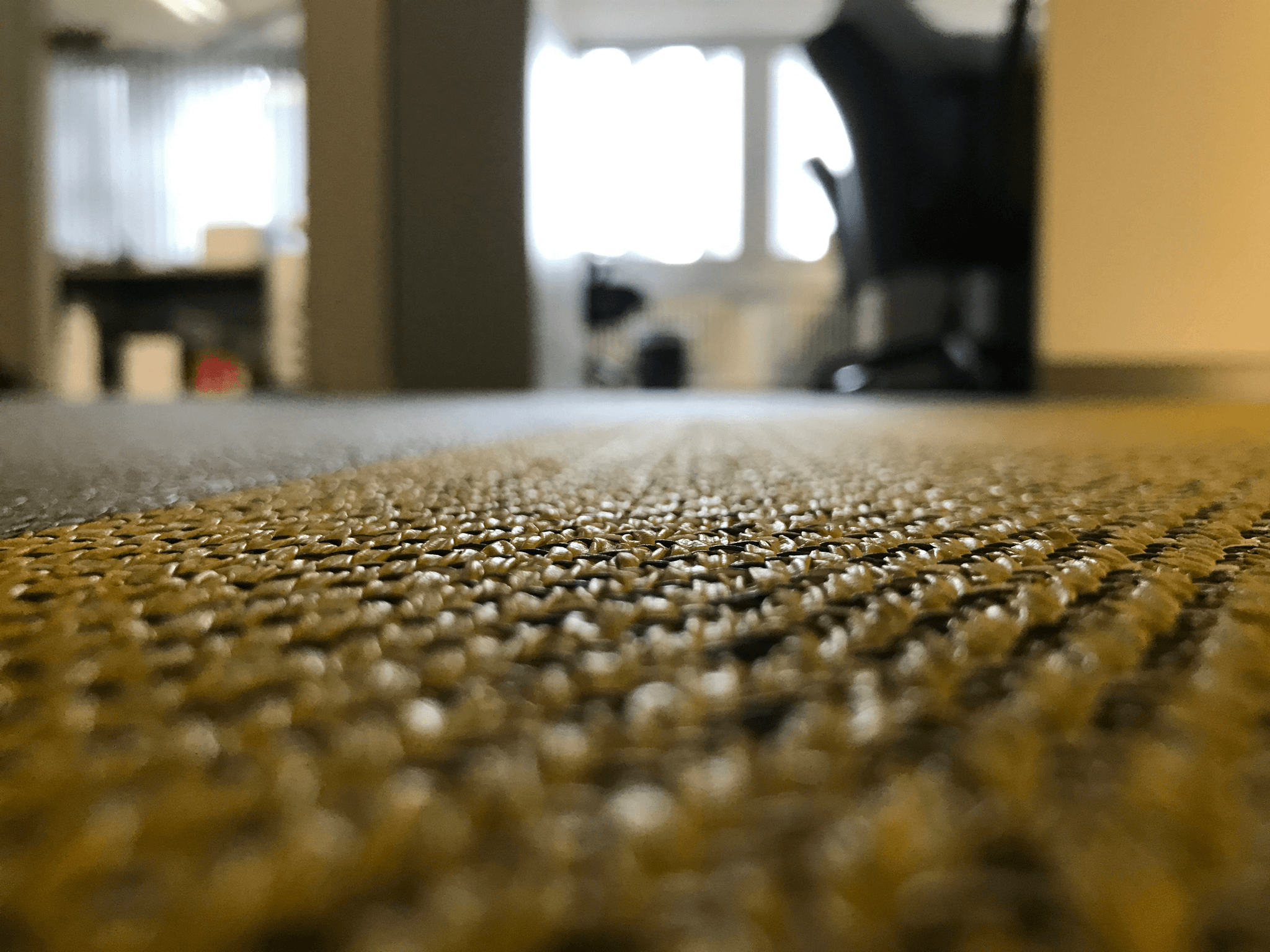 Detailed view during Carpet Inspection focusing on plush velvet texture.