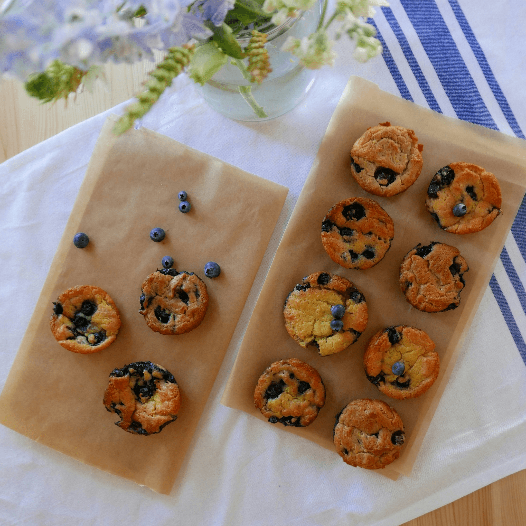 Delicious treats made with freeze dried blueberries bulk