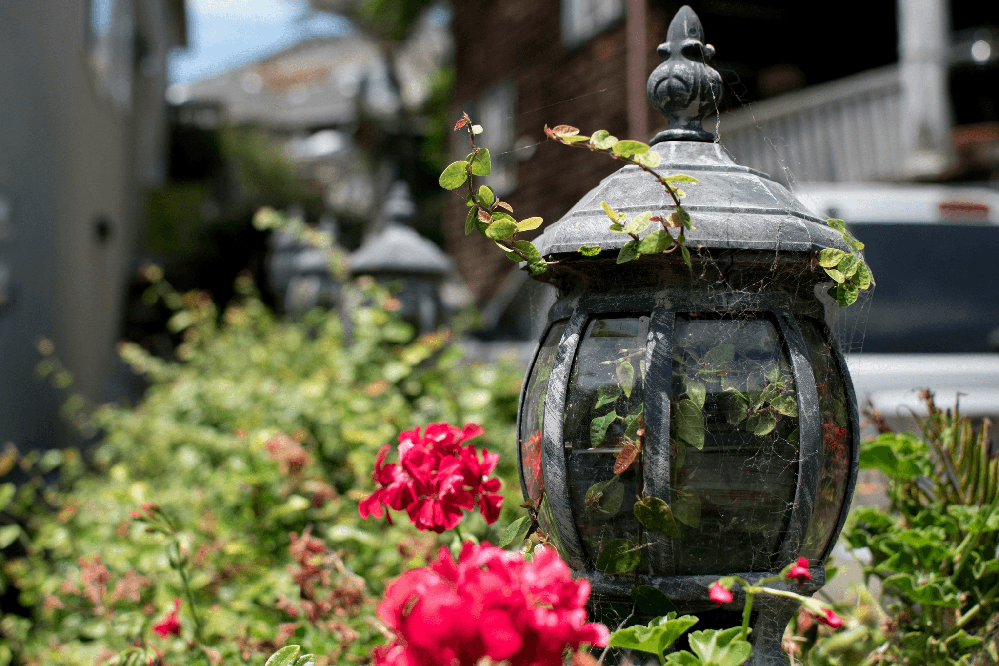 best things to buy on alibaba - home decor products