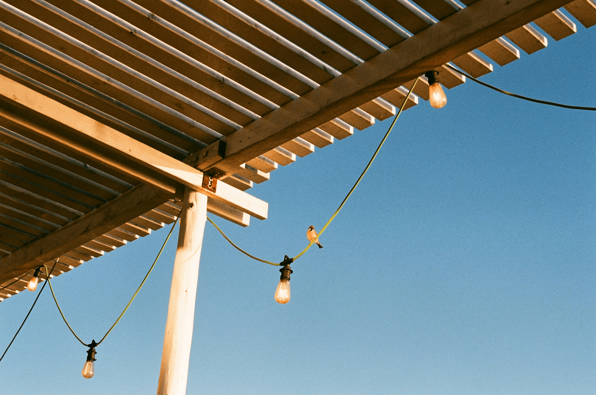 Beautiful decks with pergolas shade featuring climbing plants.