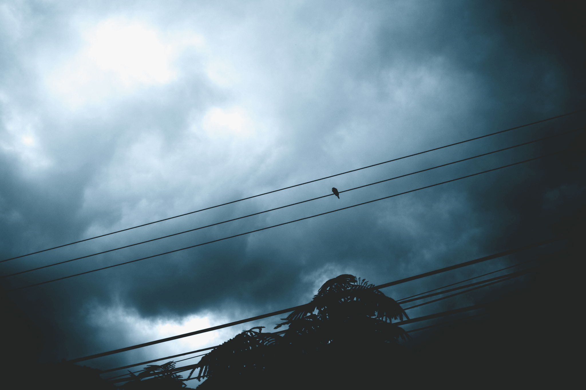 guard wire in transmission line protecting against lightning strike