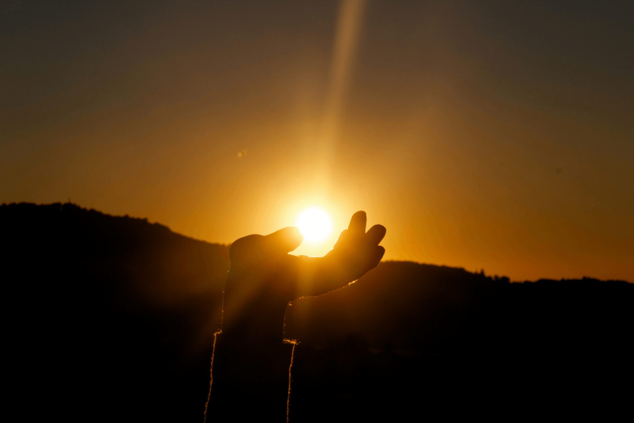 At IMGT, we prioritize the protection of your wealth through strategic planning and sophisticated asset management. Our expert team analyzes your financial landscape to craft customized solutions designed to safeguard your assets against risks while ensuring long-term growth. Wealth Protection Our Services IMGT is a multi-jurisdictional family office platform offering wealth protection, legacy planning, privacy solutions, and immigration residency options. We design tailored strategies to meet the complex financial and lifestyle needs of ultra-high-net-worth (UHNW) clients.

We curate exclusive investment opportunities for accredited investors, covering wealth management, corporate advisory, global tax planning, fund management, and other bespoke services.

Our holistic model delivers end-to-end wealth administration, investment solutions, and corporate services, complemented by overseas business missions through our global partner network.

With diverse expertise and deep industry insight, we provide unmatched value in premier wealth administration.