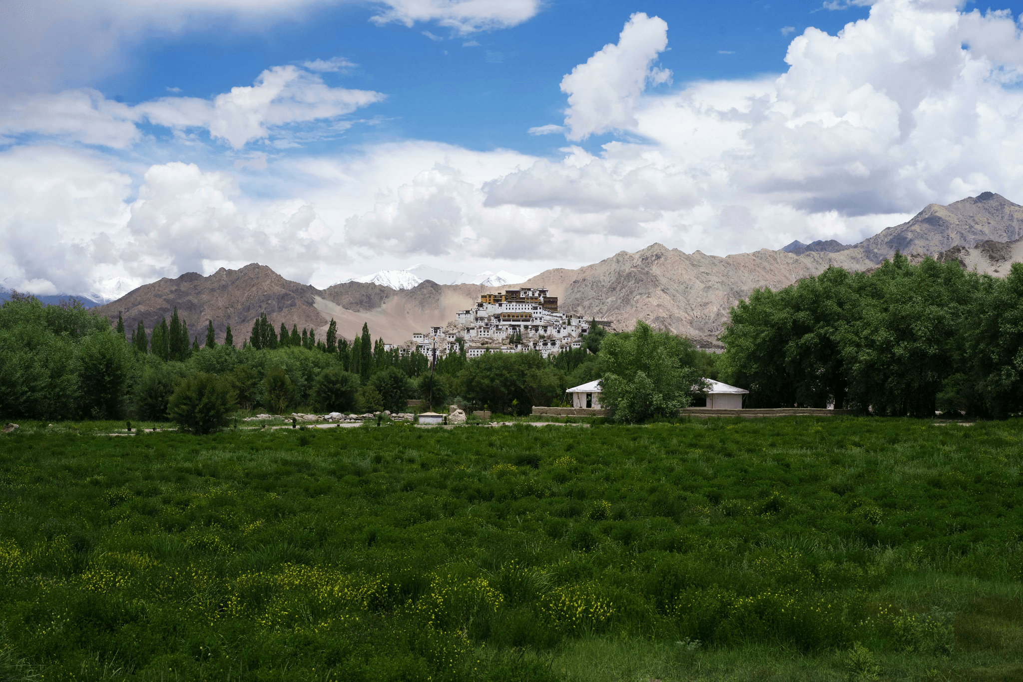 Sakya monastery surrounded by lush greenery