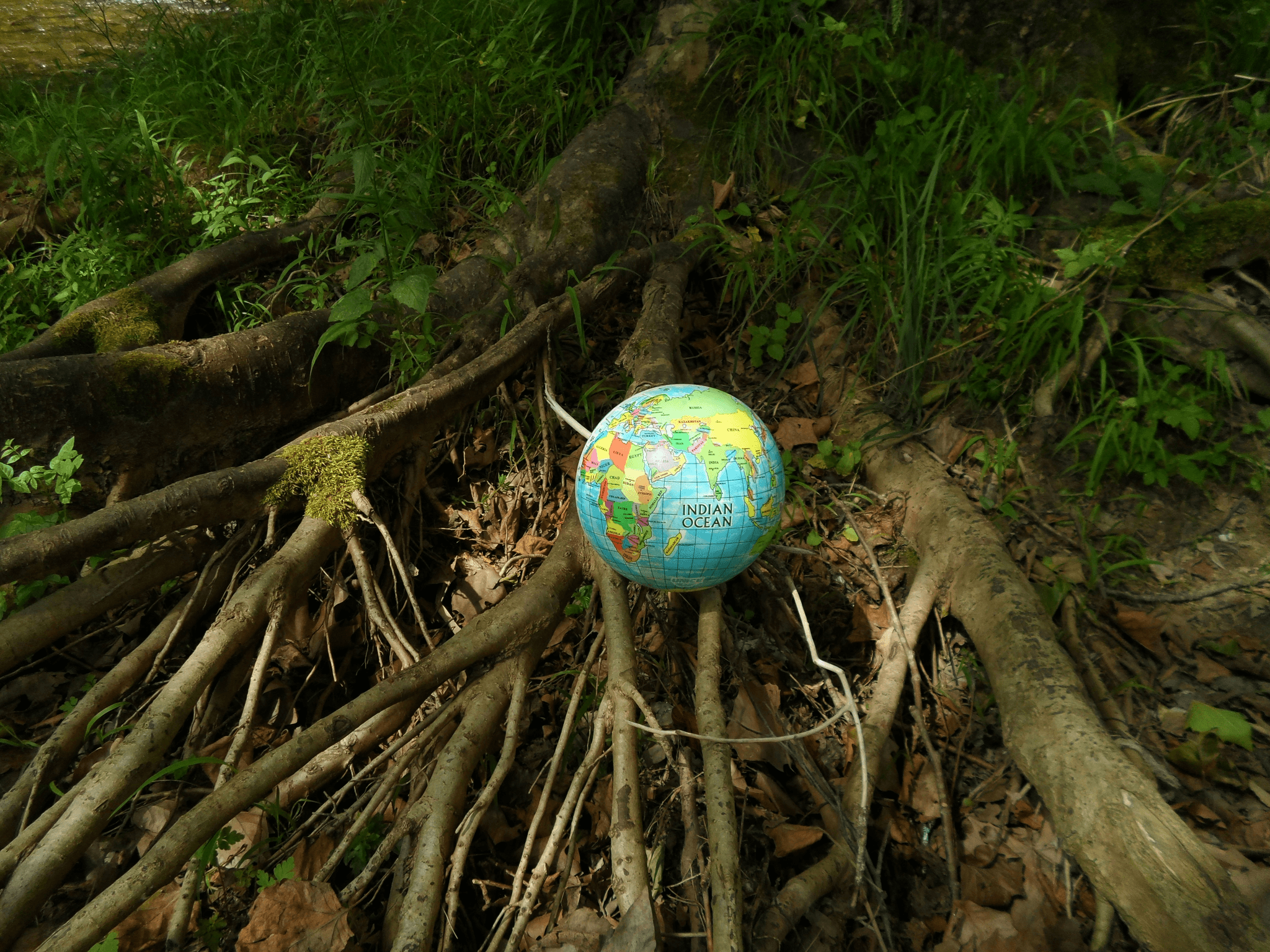 Global Procurement Strategy Sustainability Illustration