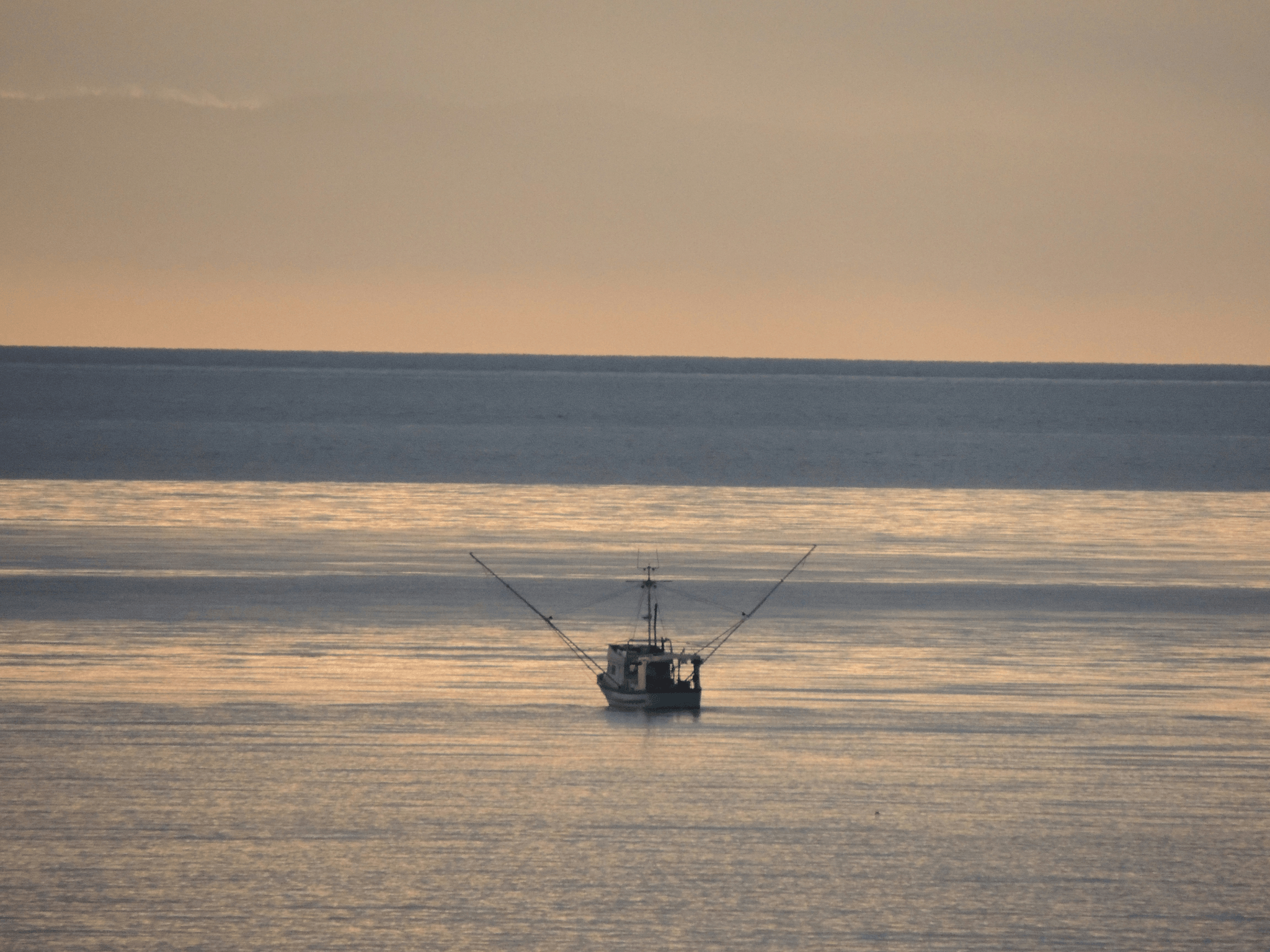 Affordable 18 Foot Fishing Boat for Sale