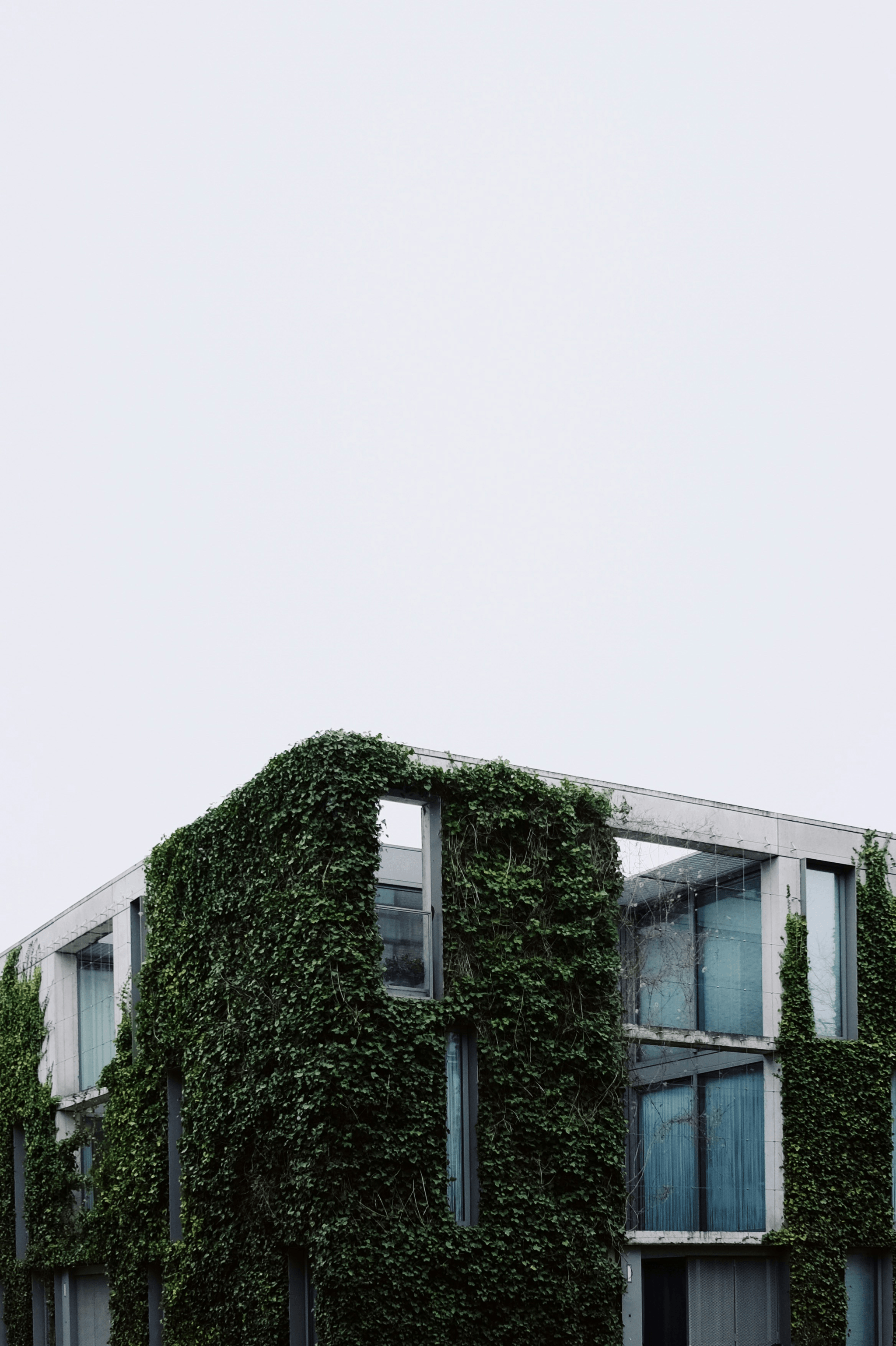Modern prefab commercial building surrounded by greenery