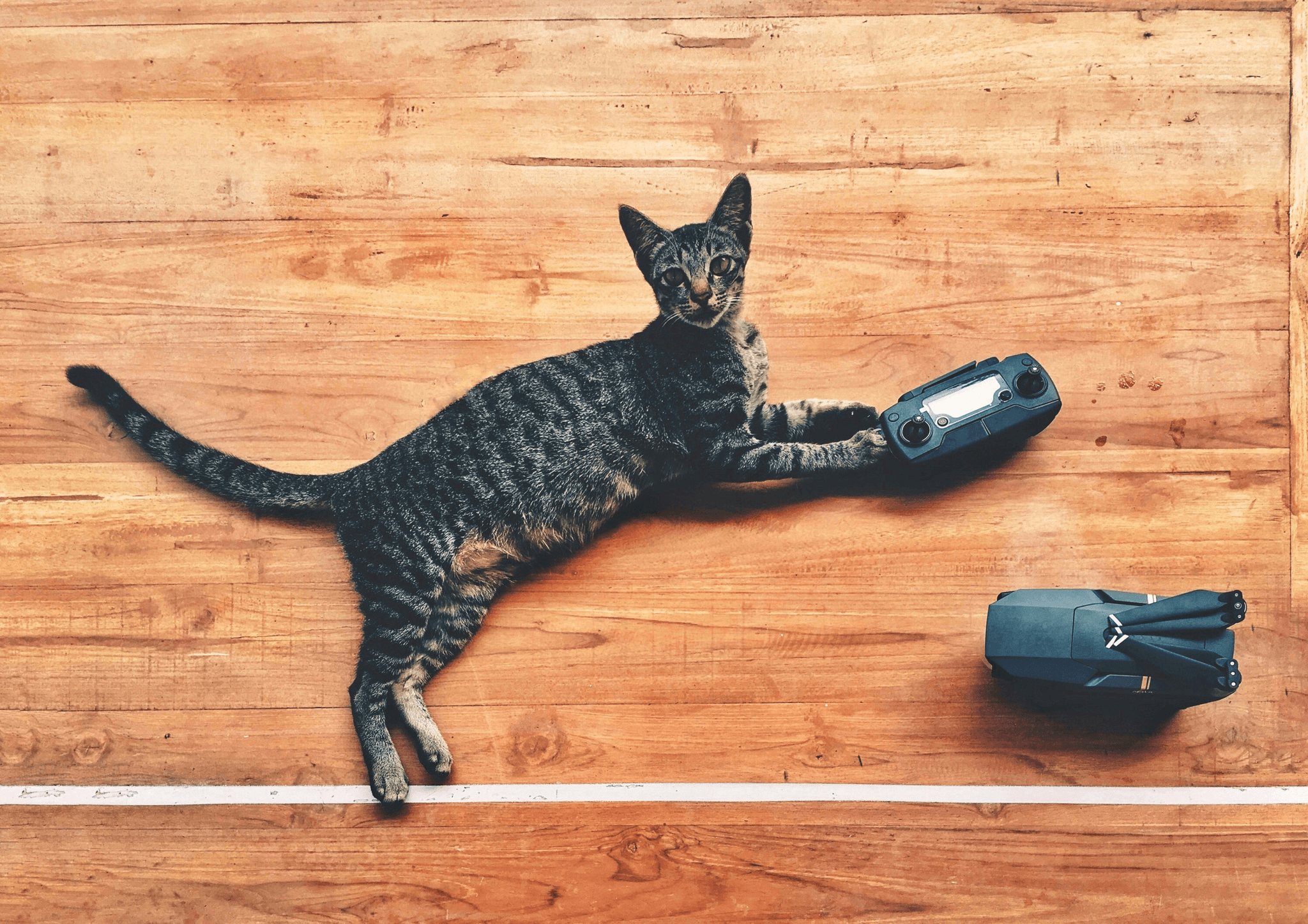 Automatic Cat Toy with Timer and Feather Wand