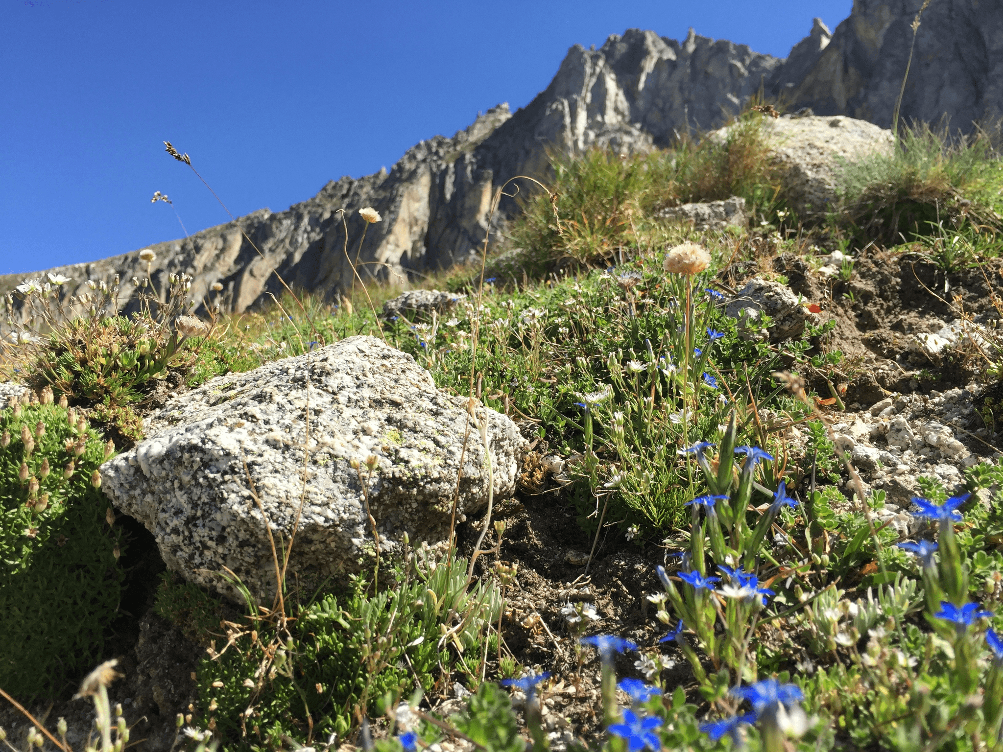 camping nature et montagne