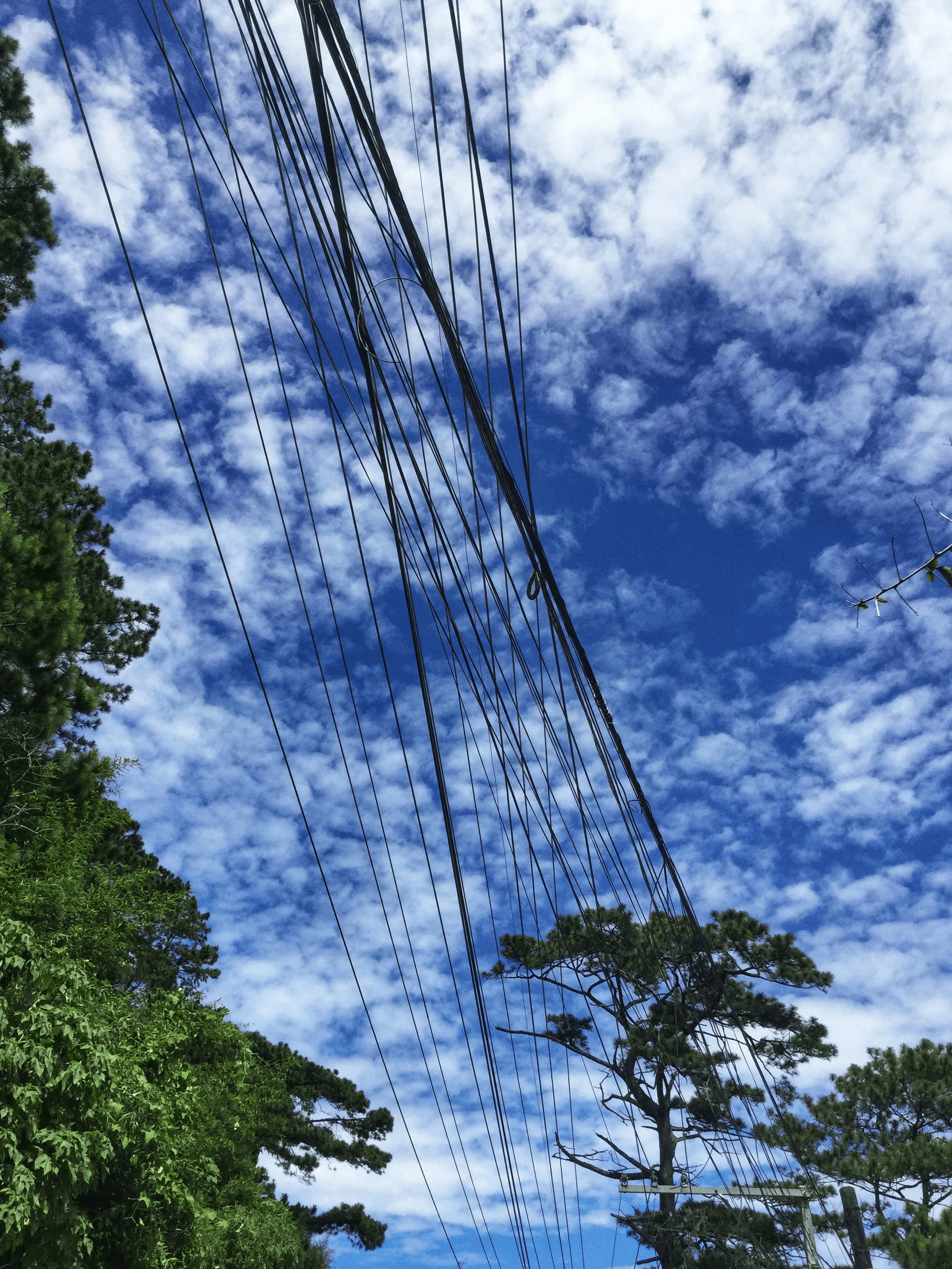 ADSS cable suspended in a telecommunications setup