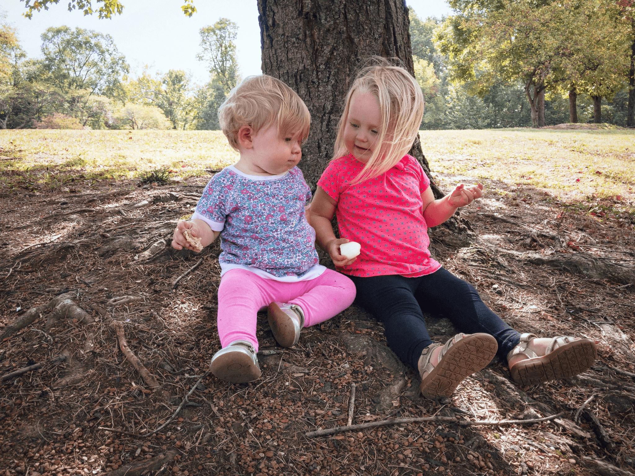 Functional Communication Goals and Their Importance