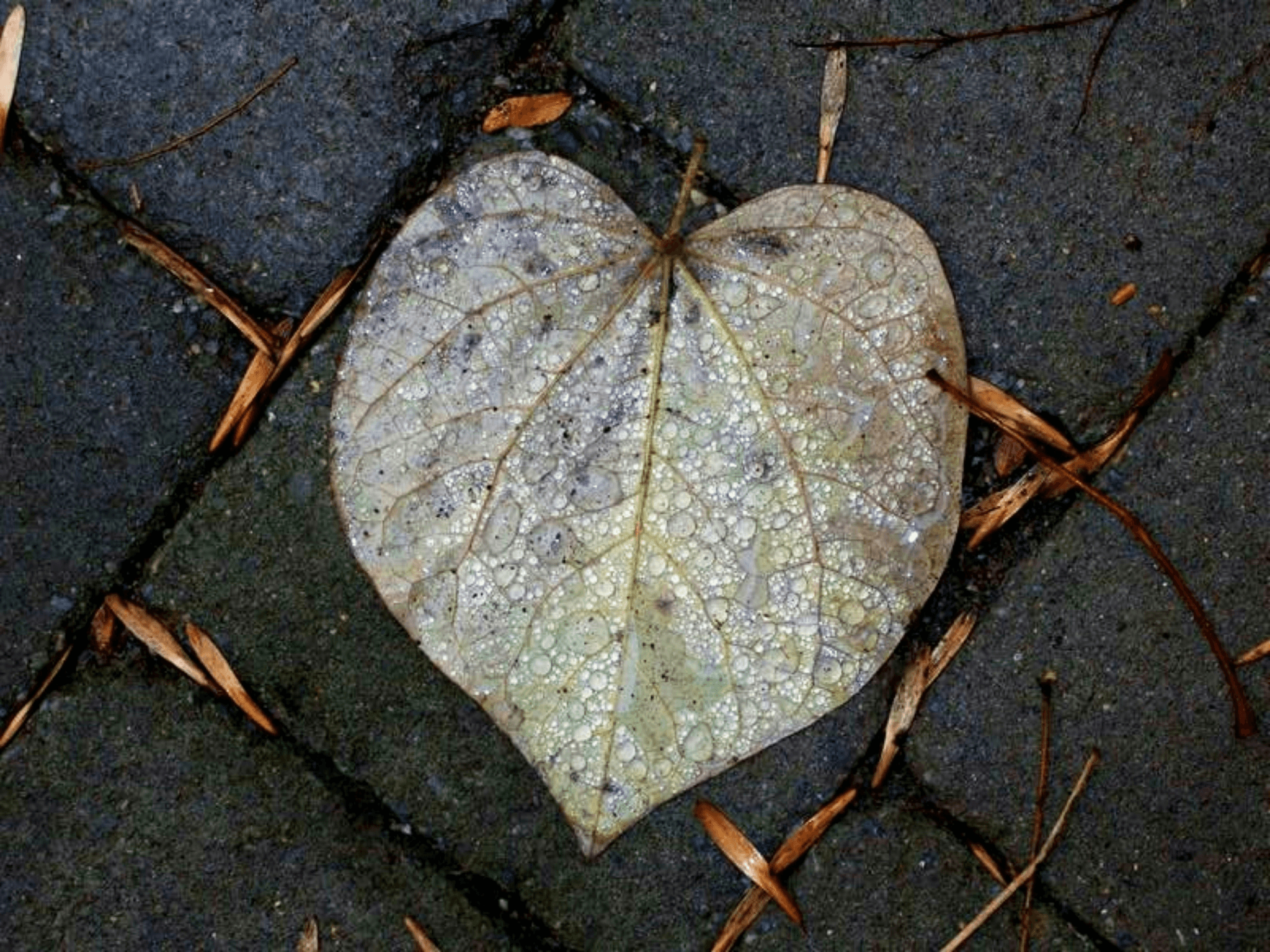 常常喘不過氣？醫師分析呼吸困難｜常見原因、疾病警訊與預防指南｜淺顯易懂的行醫筆記｜療寮診所．板橋江子翠｜家醫科診所．健保一般科