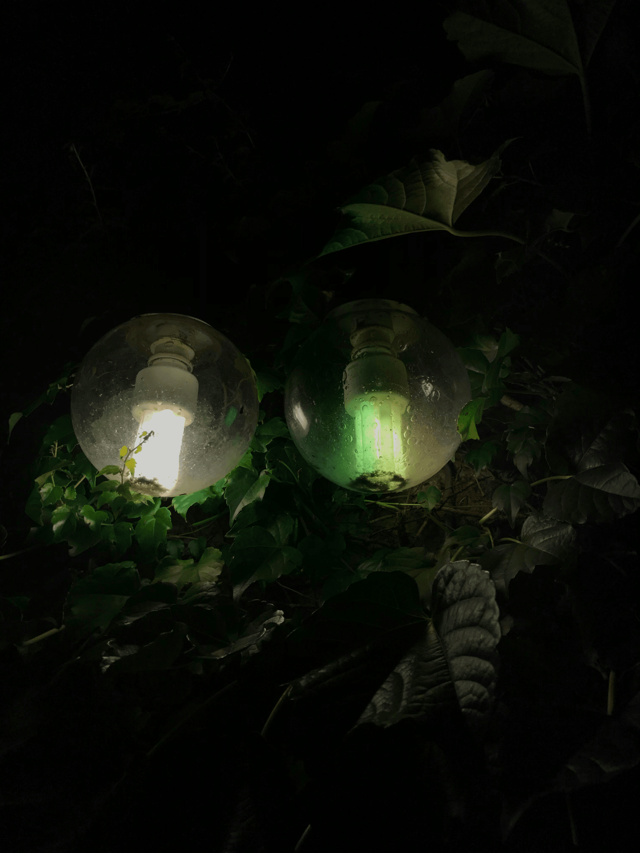 Sustainable LED Light Manufacturers