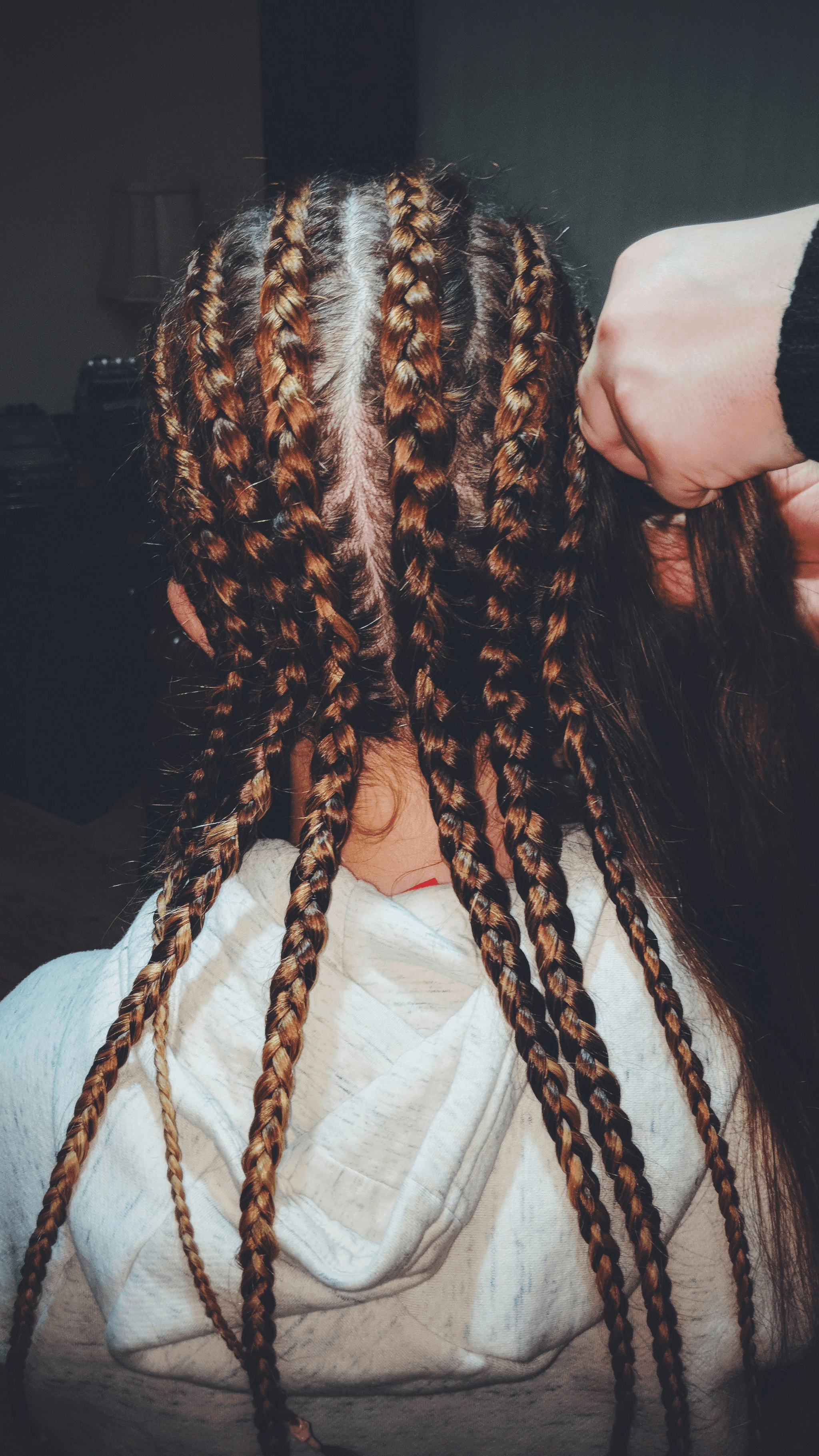 Various types of beautiful Box Braids showcasing different styles
