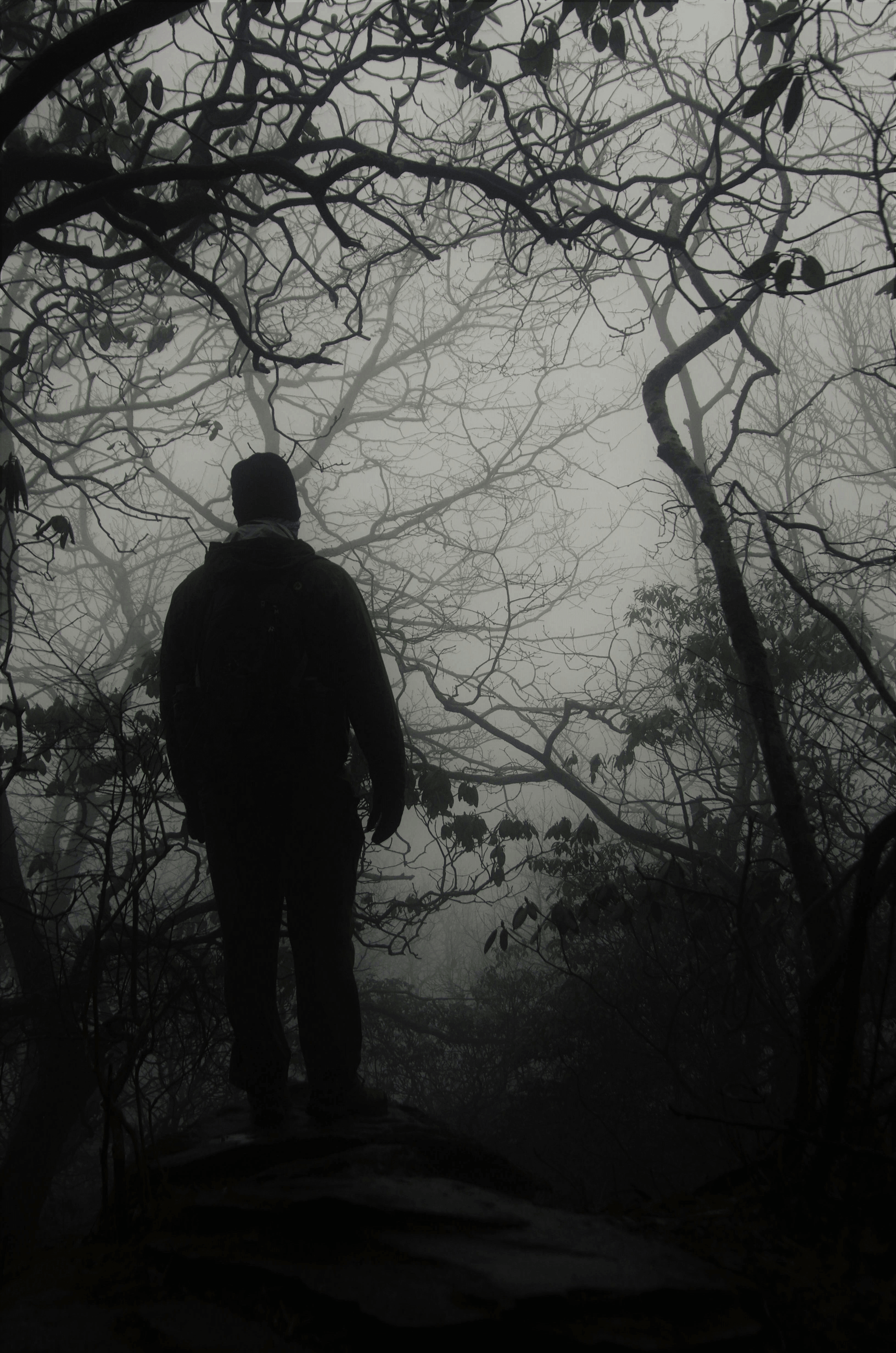  — Emily Chen “Mike's guidance is clear and compassionate. His approach to mindfulness has changed my life.”  Our community has experienced profound transformations through the practice of meditation Why Stillness?

In a world that moves too fast, stillness gives us a place to reset. Meditation helps release stress, bring clarity, and reconnect us with what matters most. Whether in a group session at the library or a retreat by the sea, Haven of Stillness offers a space to come home to yourself.

Community Meditations – Weekly guided sessions for anyone seeking peace in daily life.

Retreat Experiences – Immersive gatherings in beautiful settings designed to restore balance and deepen presence.

Personal Guidance – Simple practices to carry stillness into everyday living.

Mike Malmrose guides individuals and groups in the practice of meditation and mindfulness. His work blends simplicity, clarity, and depth — helping people move from busyness to presence.
Join us at HavenOfStillness.com to see upcoming sessions, retreats, and resources for cultivating peace in daily life.