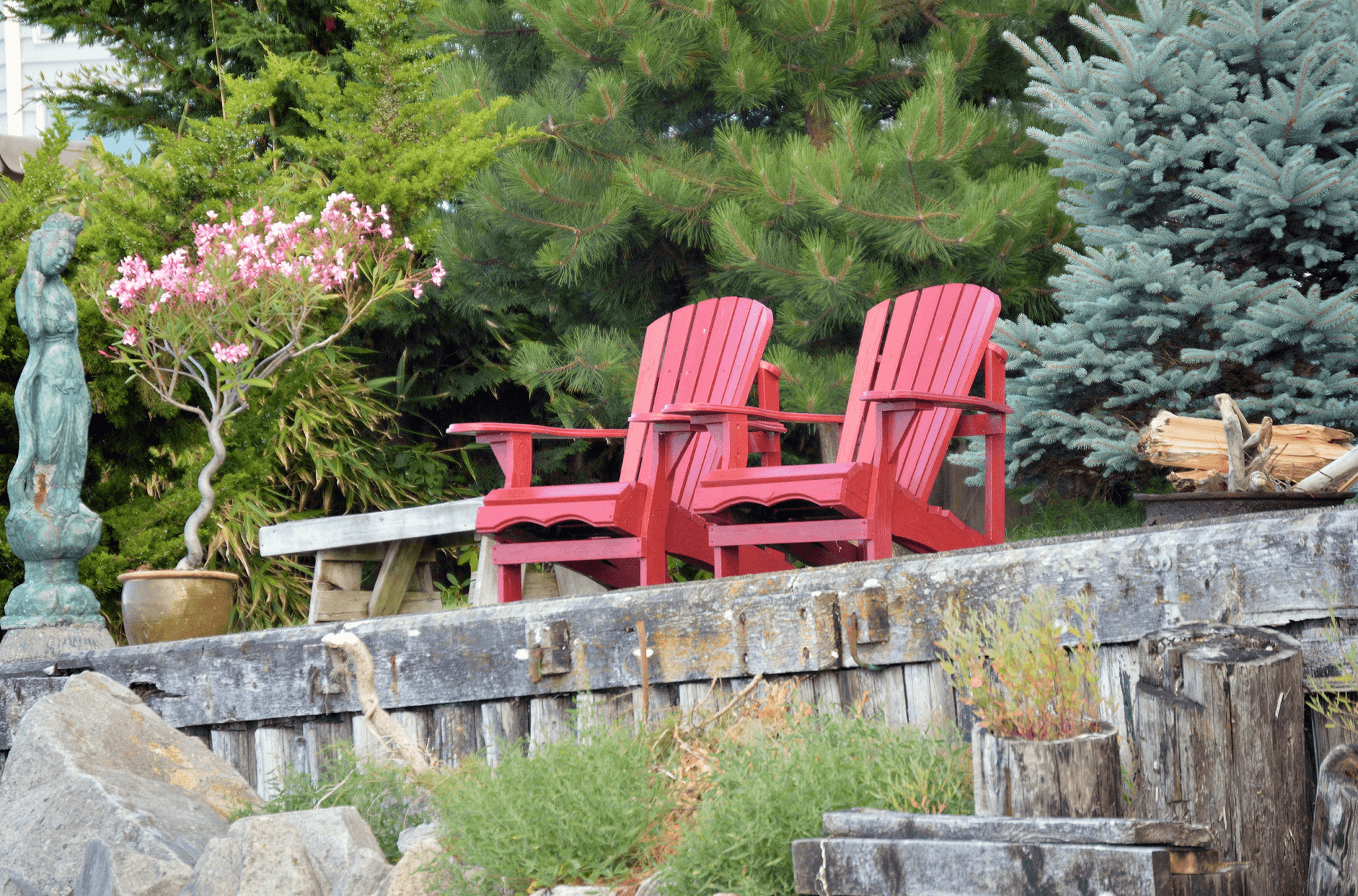 Beautiful Australian Red Cedar showcasing premium decking timber types