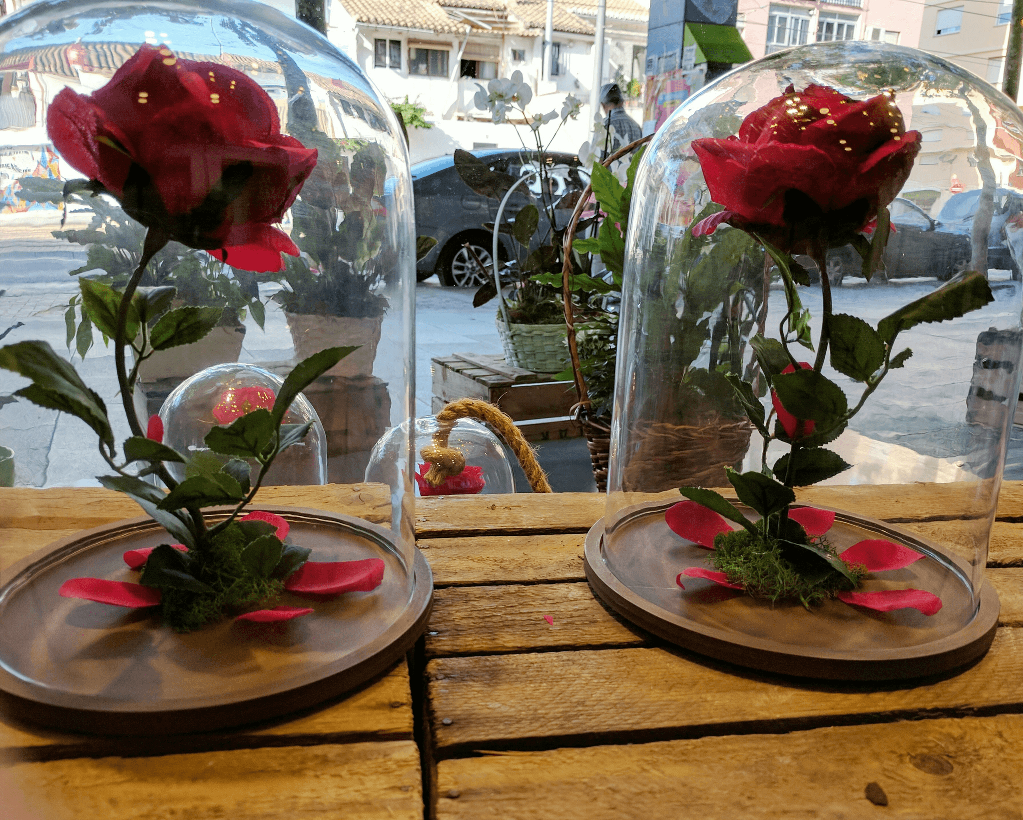 what are preserved roses