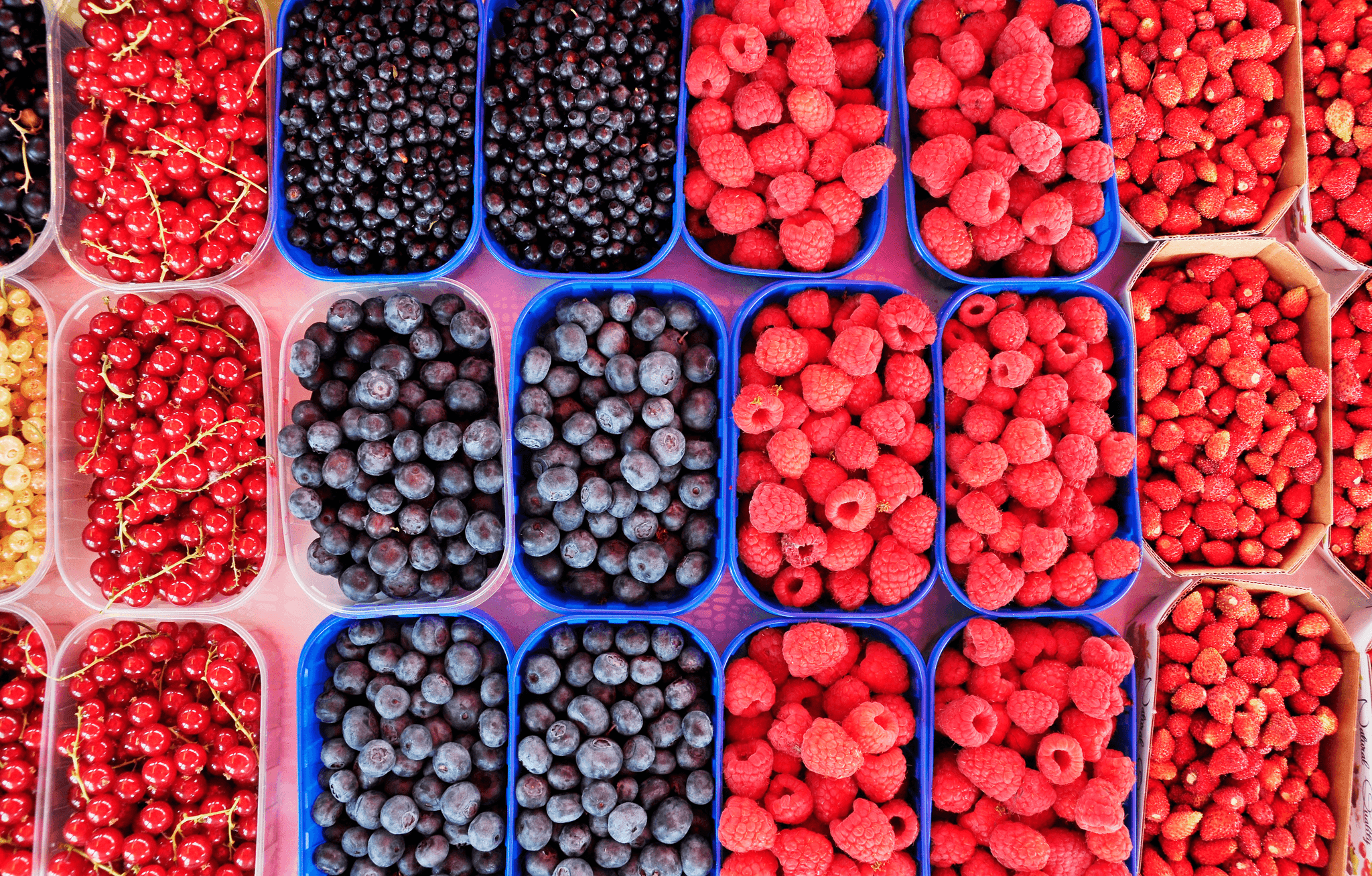 Delicious bulk organic freeze dried fruit selection including strawberries and blueberries.