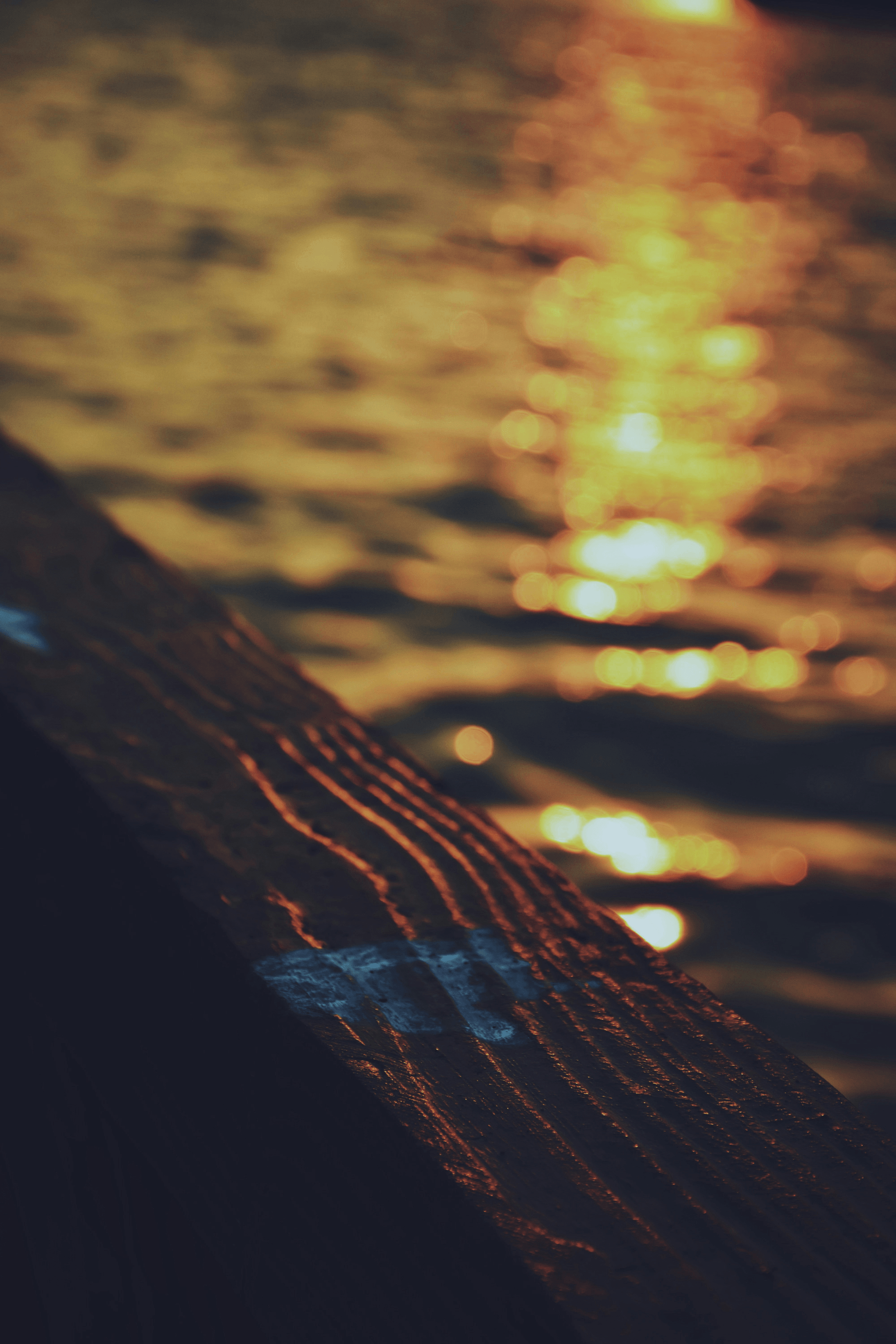 Best wood for dock decking comparison showing composite advantages