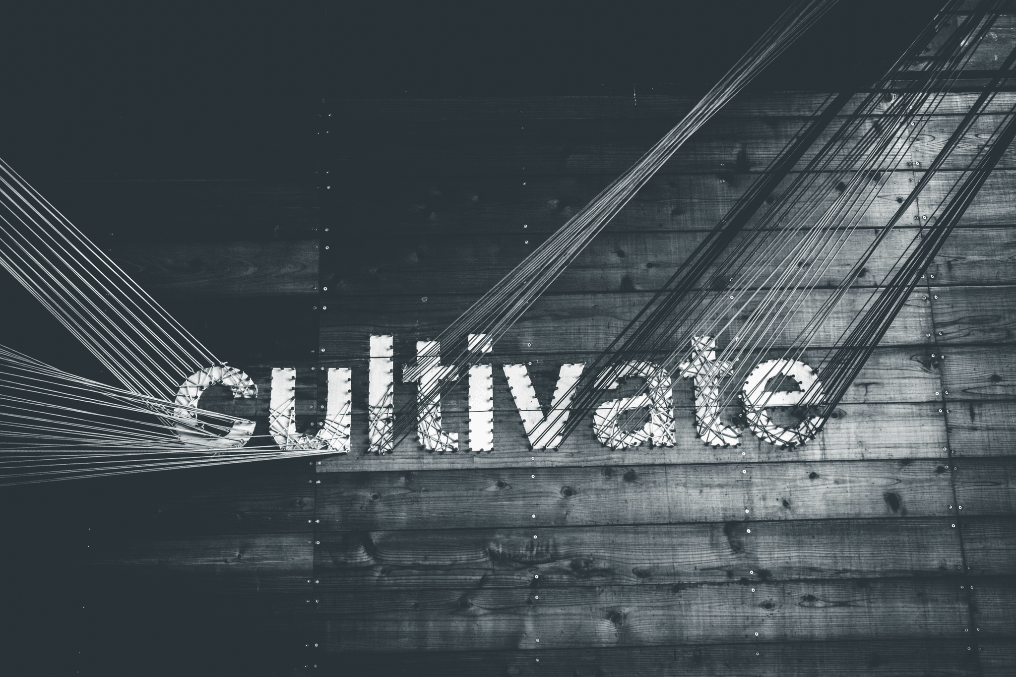 Innovative approaches in top sourcing strategies