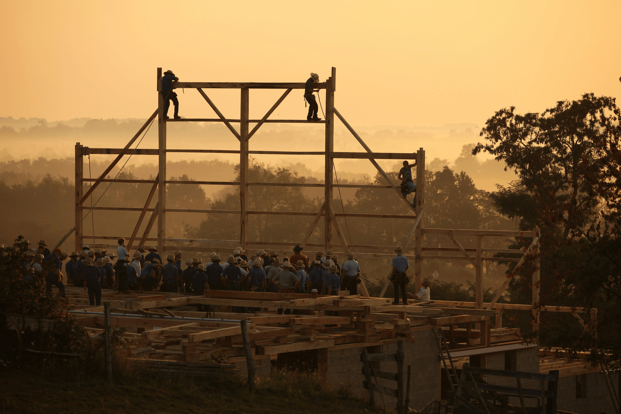 Efficient construction of light steel frame houses by PreFab Inc.