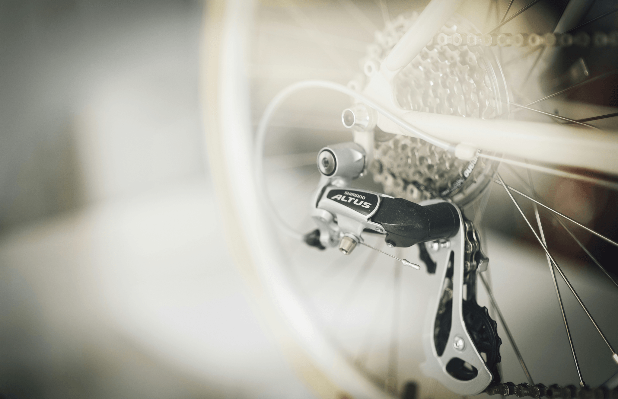 Bike derailleur, bearing, and paint check