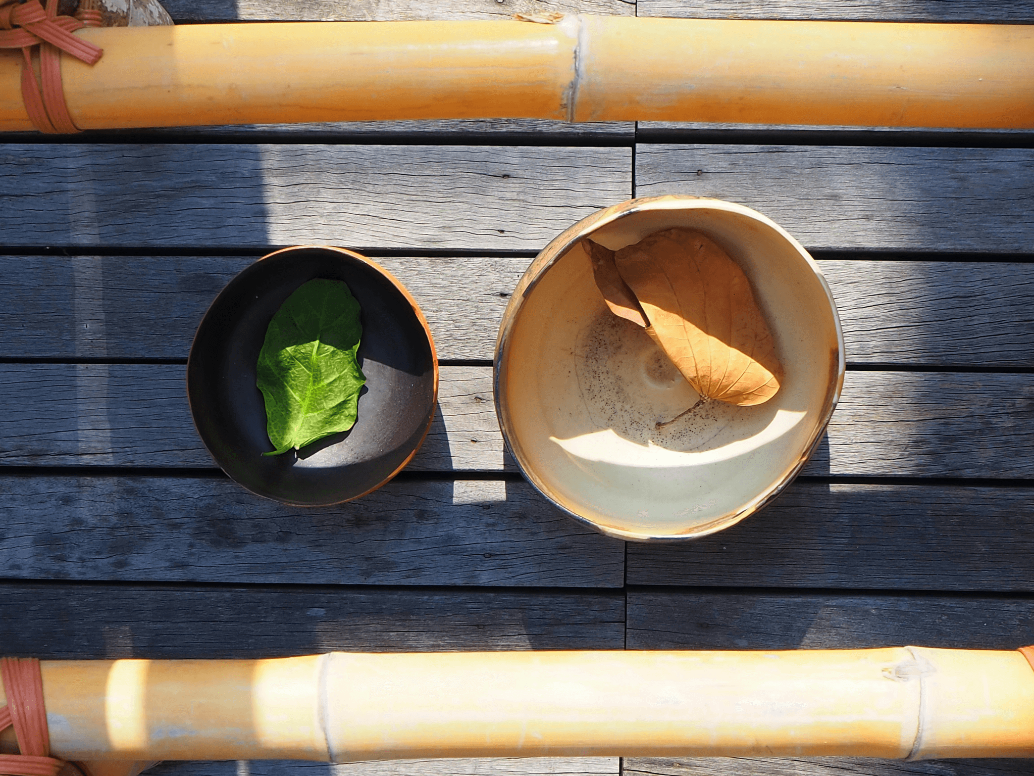 Various eco-friendly bamboo-based products showcasing sustainability in China manufacturing products