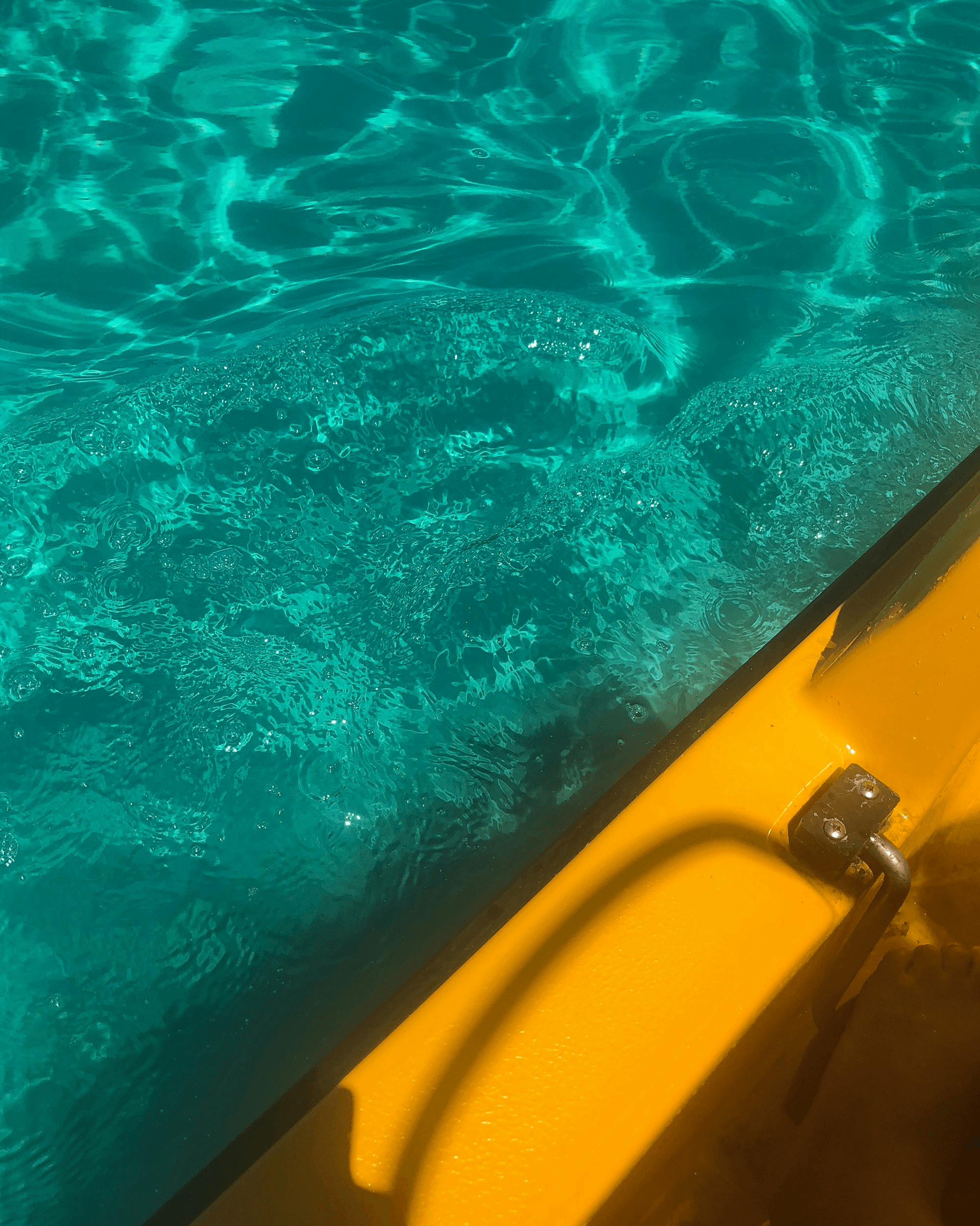 pontoon boat checklist includes personal flotation devices