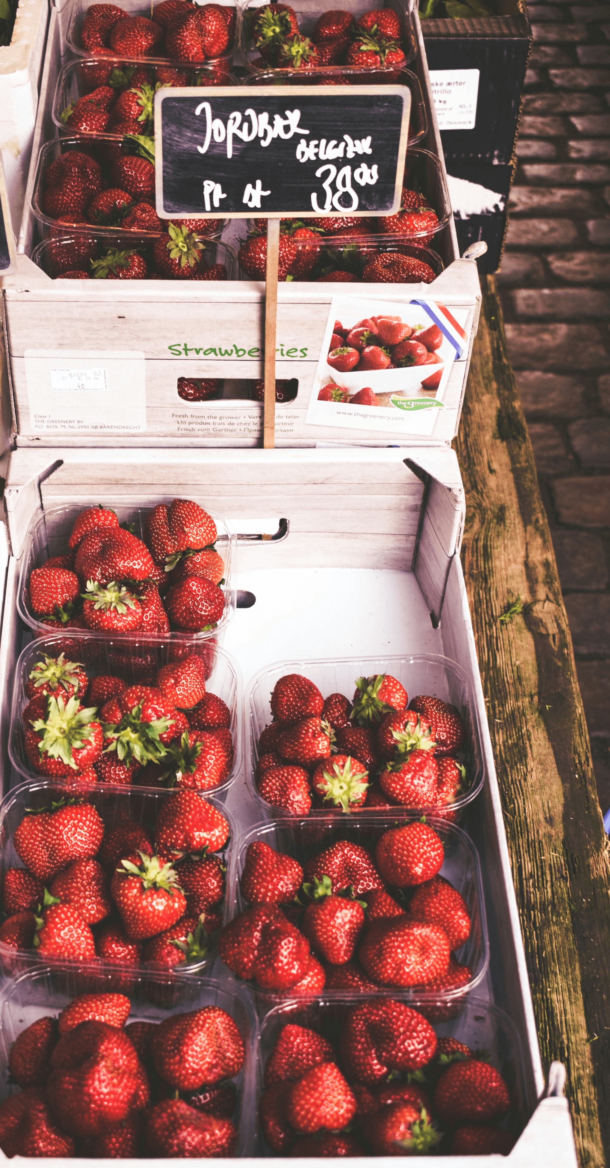 bulk purchase options for freeze dried strawberries bulk.