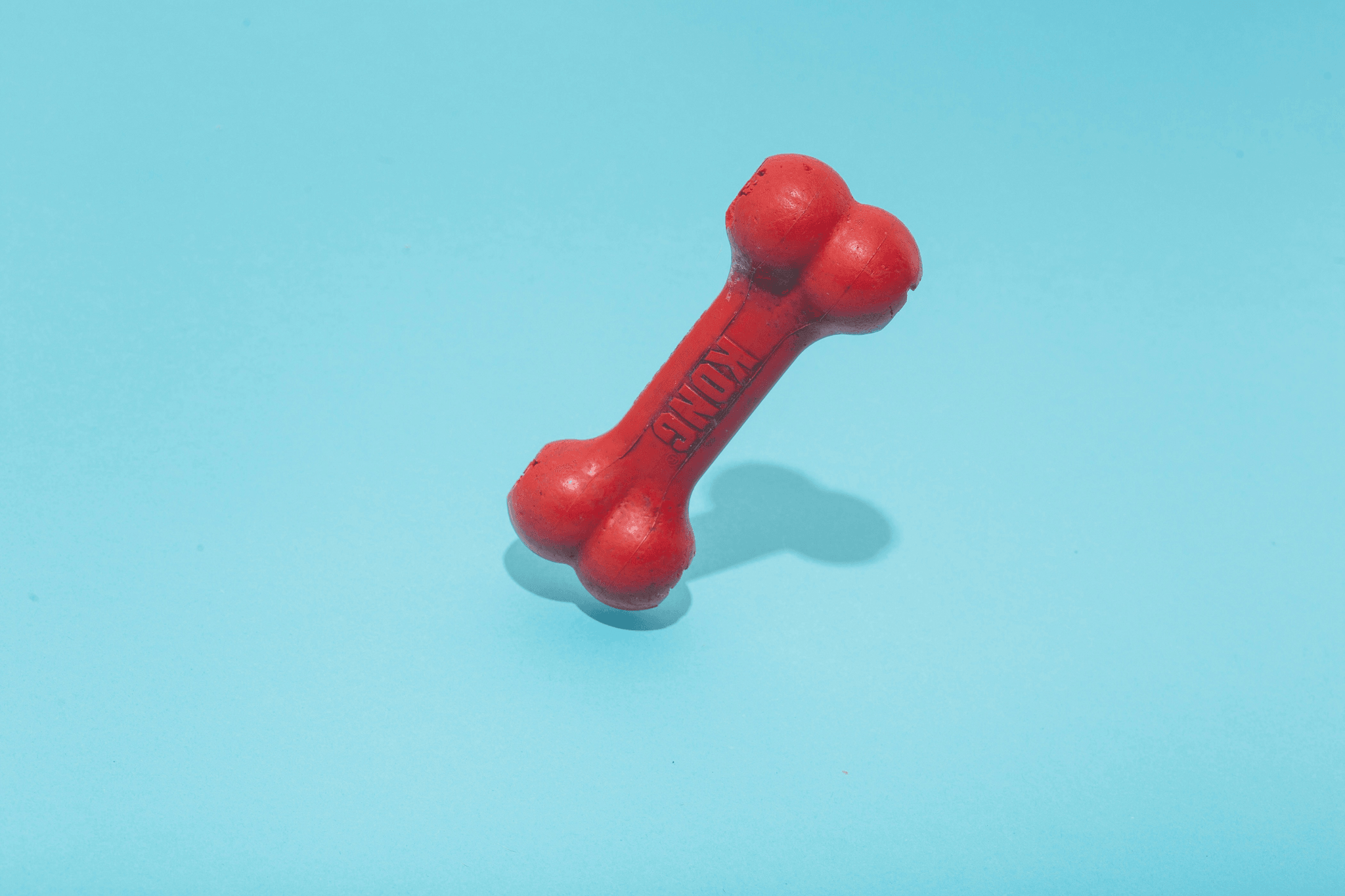Pet Products Quality Control ensures safe dog toys.