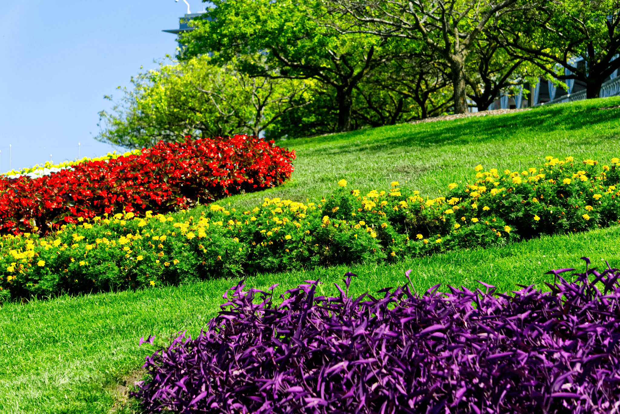 Beautifully landscaped garden showcasing the expertise of a landscaping website