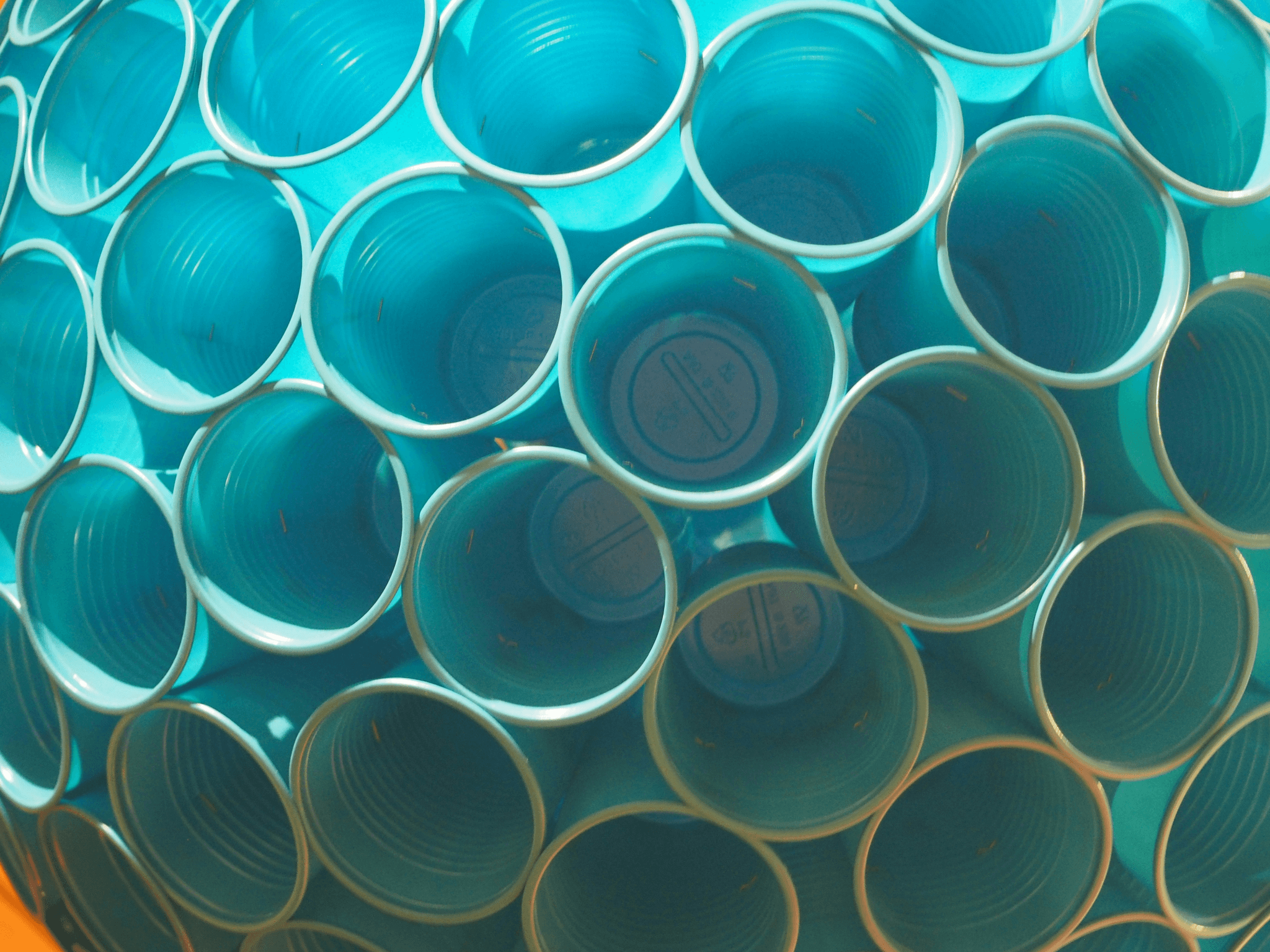 Plastic manufactures evolving in modern facilities