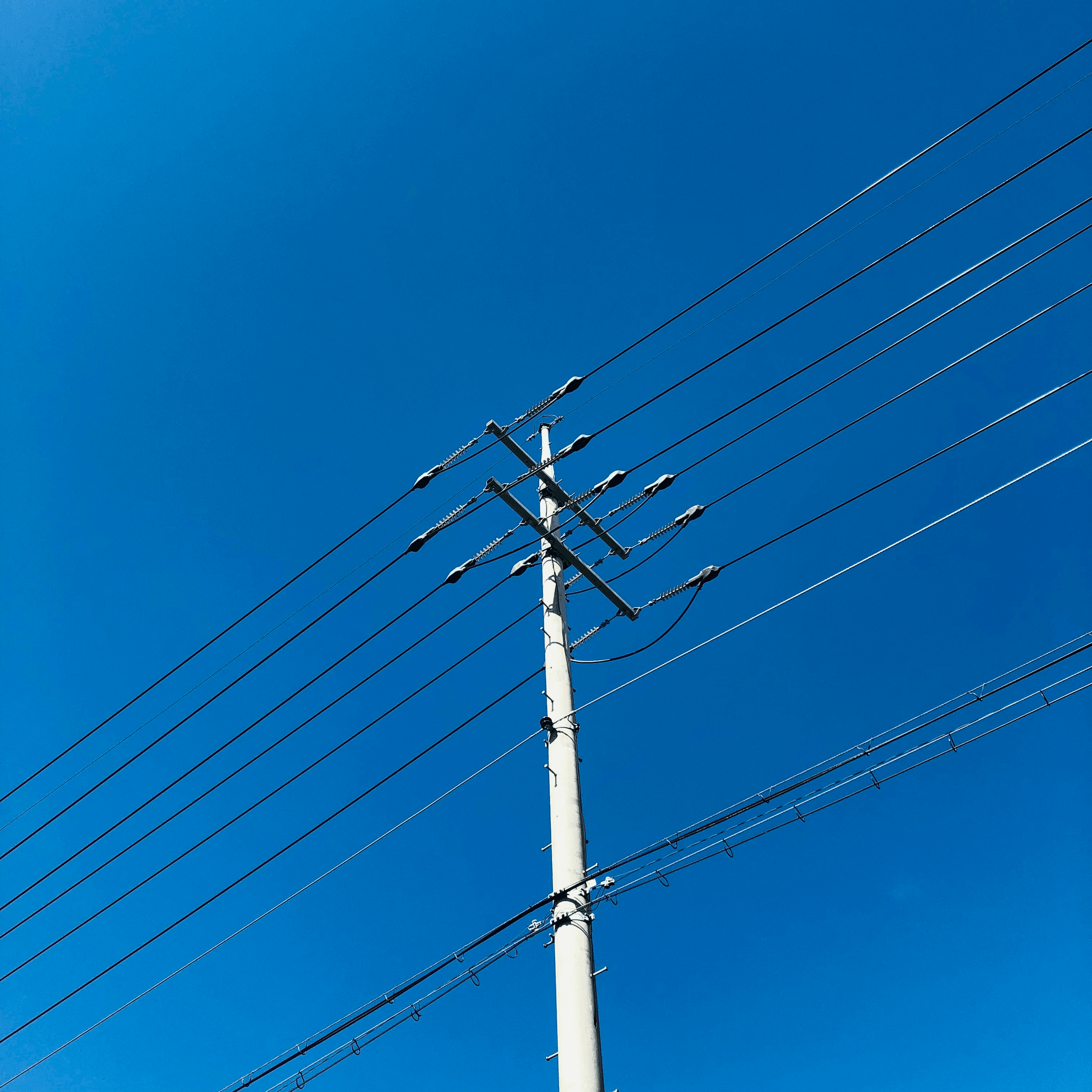 pole clamps securing cables on transmission line poles