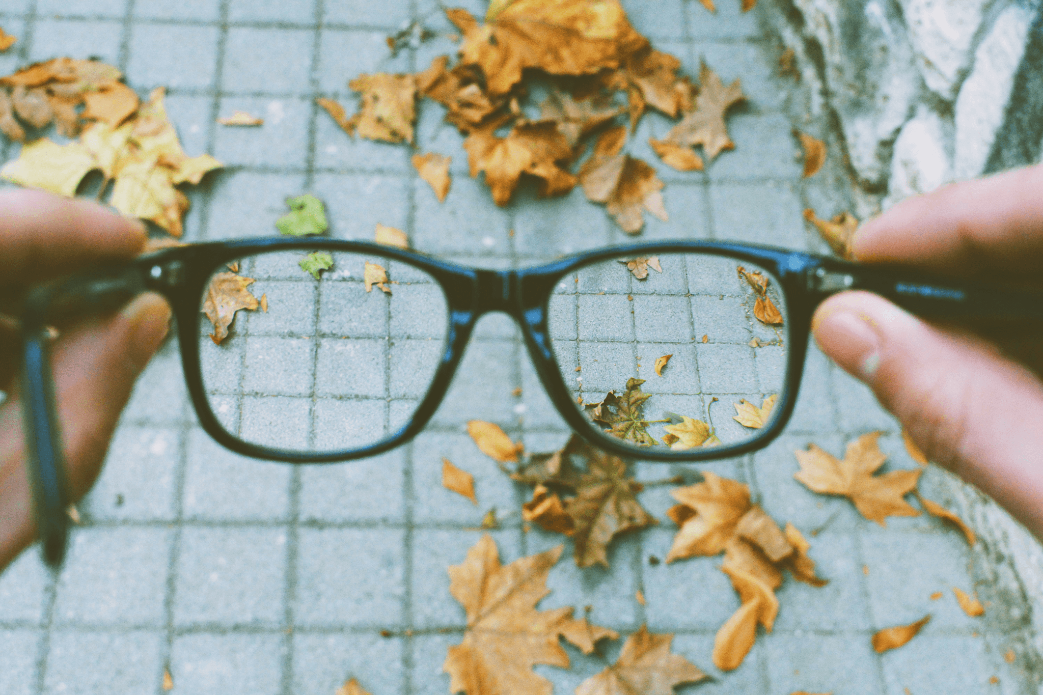Understanding photochromic glasses meaning through stylish photogray lens options.