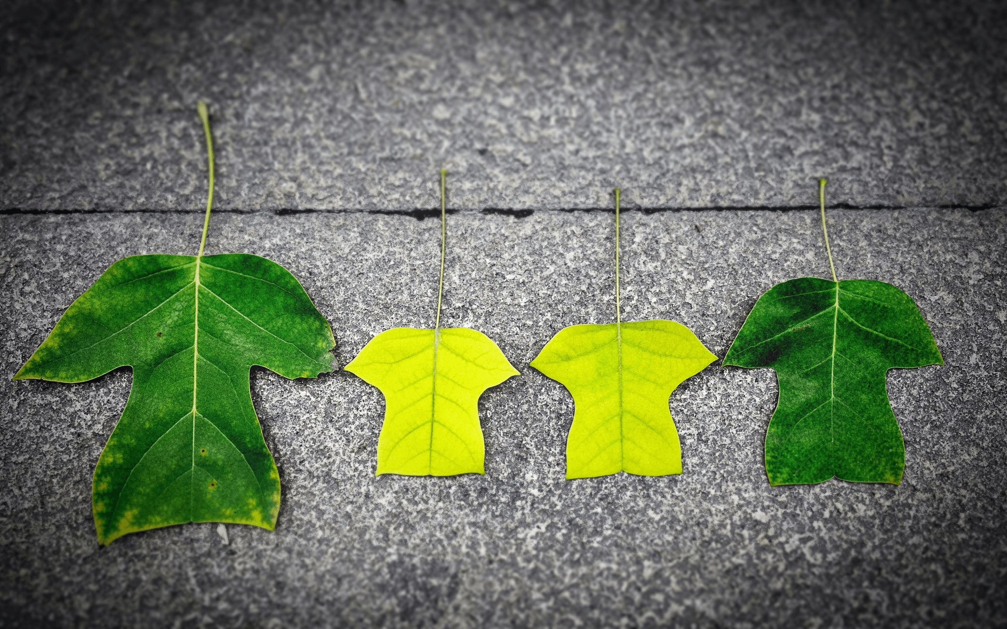 sustainable material sourcing strategies at SSOURCING INC.