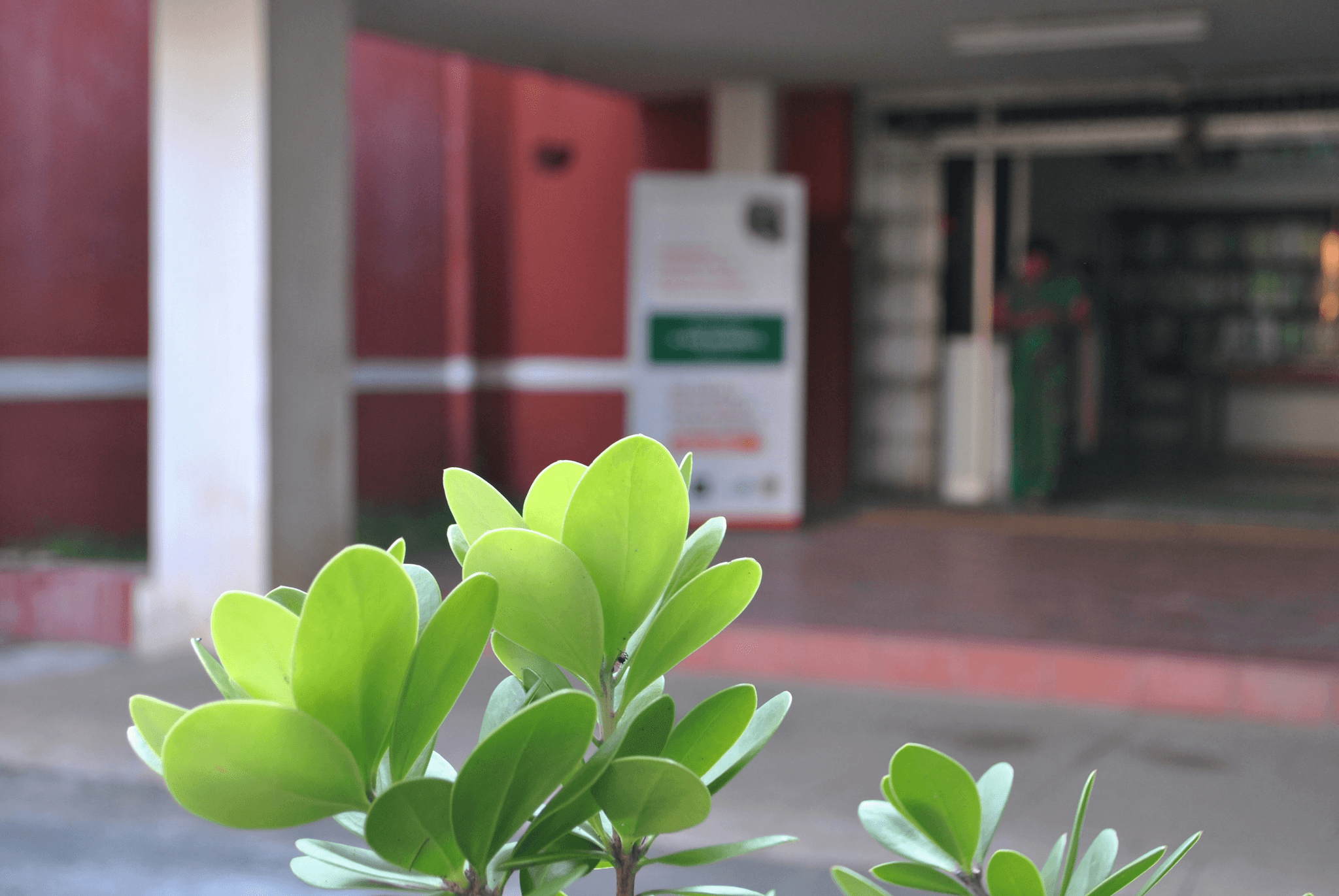 Modern prefabricated hospital surrounded by greenery