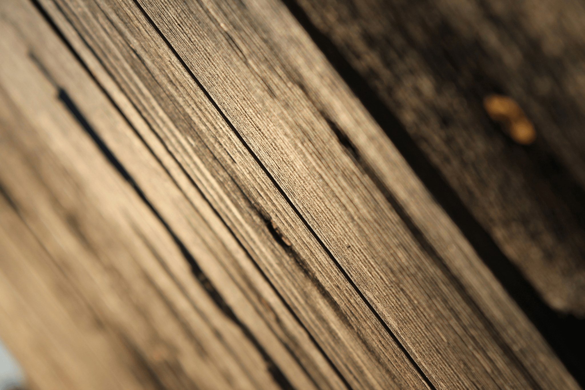 Wood with moisture meter and storage techniques.