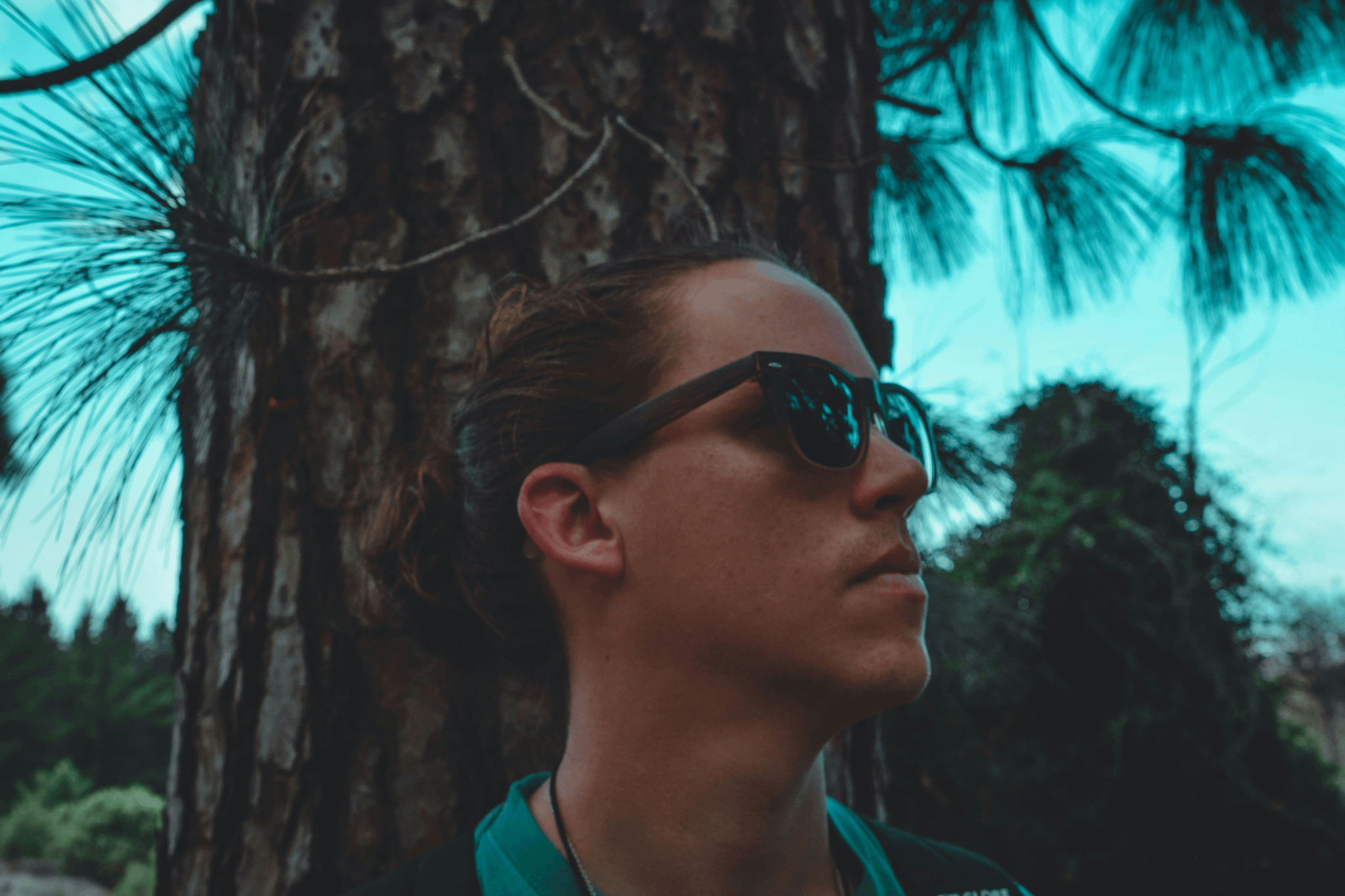 what do polarized sunglasses do for clear vision outdoors