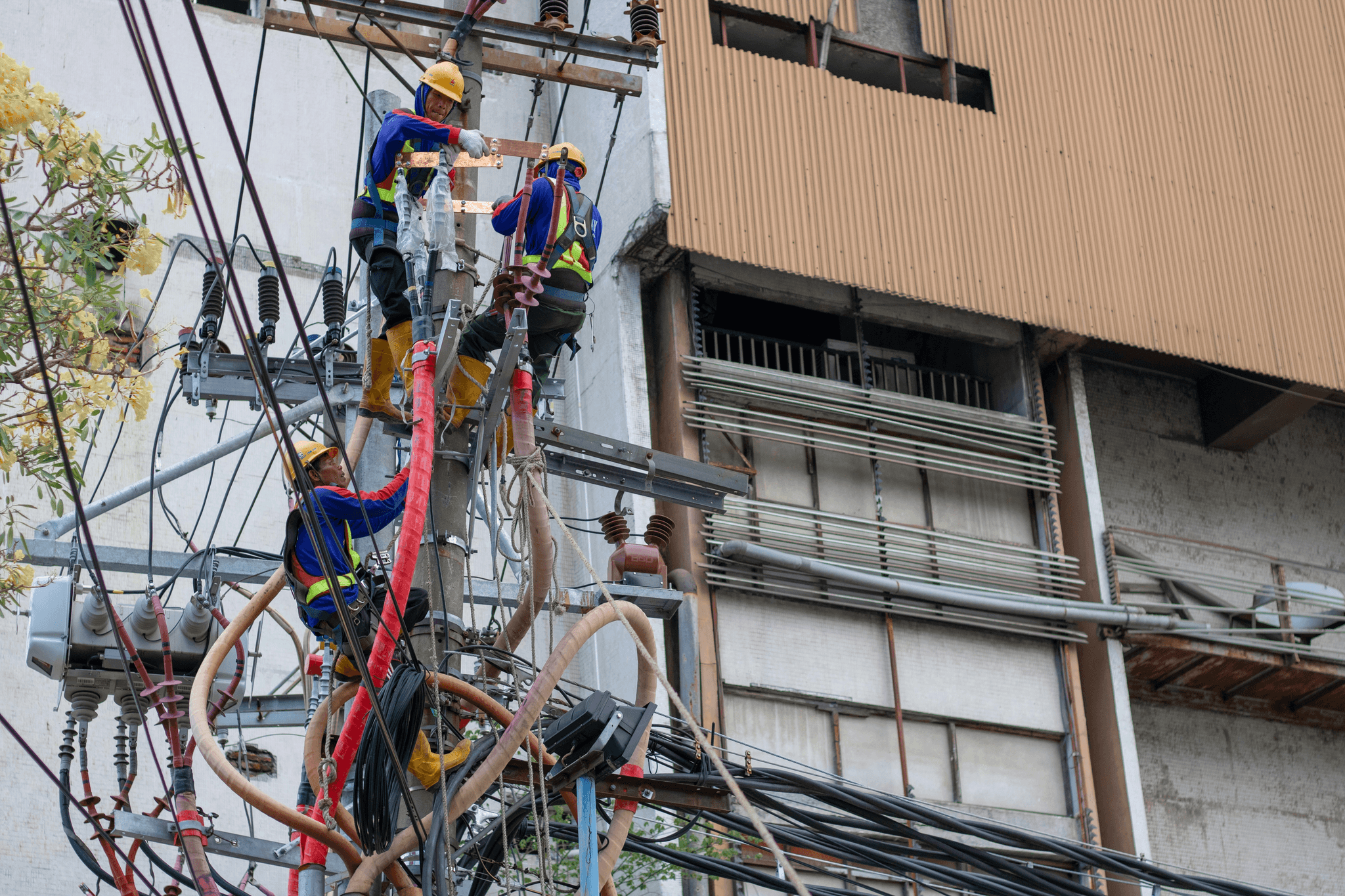 Installation of power pole guy wire with proper techniques shown.
