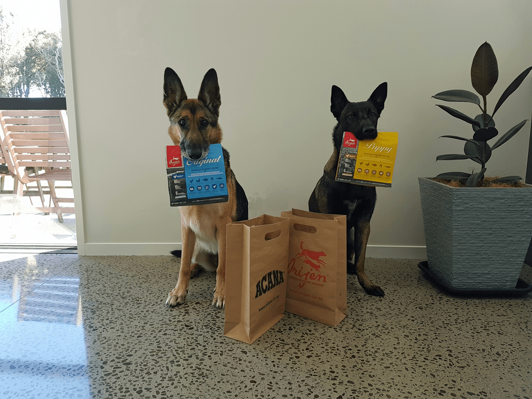 Common Packaging Materials for Dog Treats