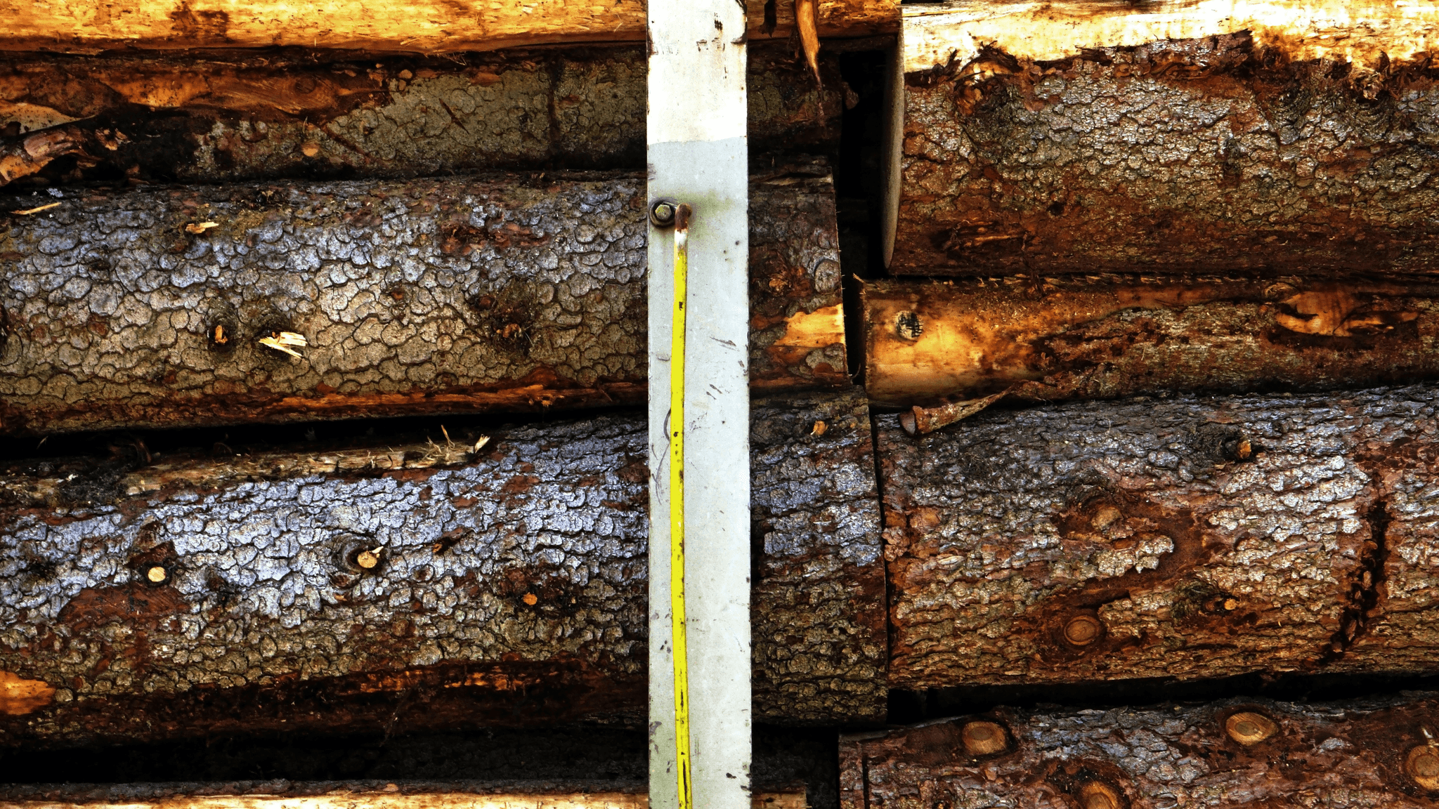 wood drying and moisture monitoring setup.